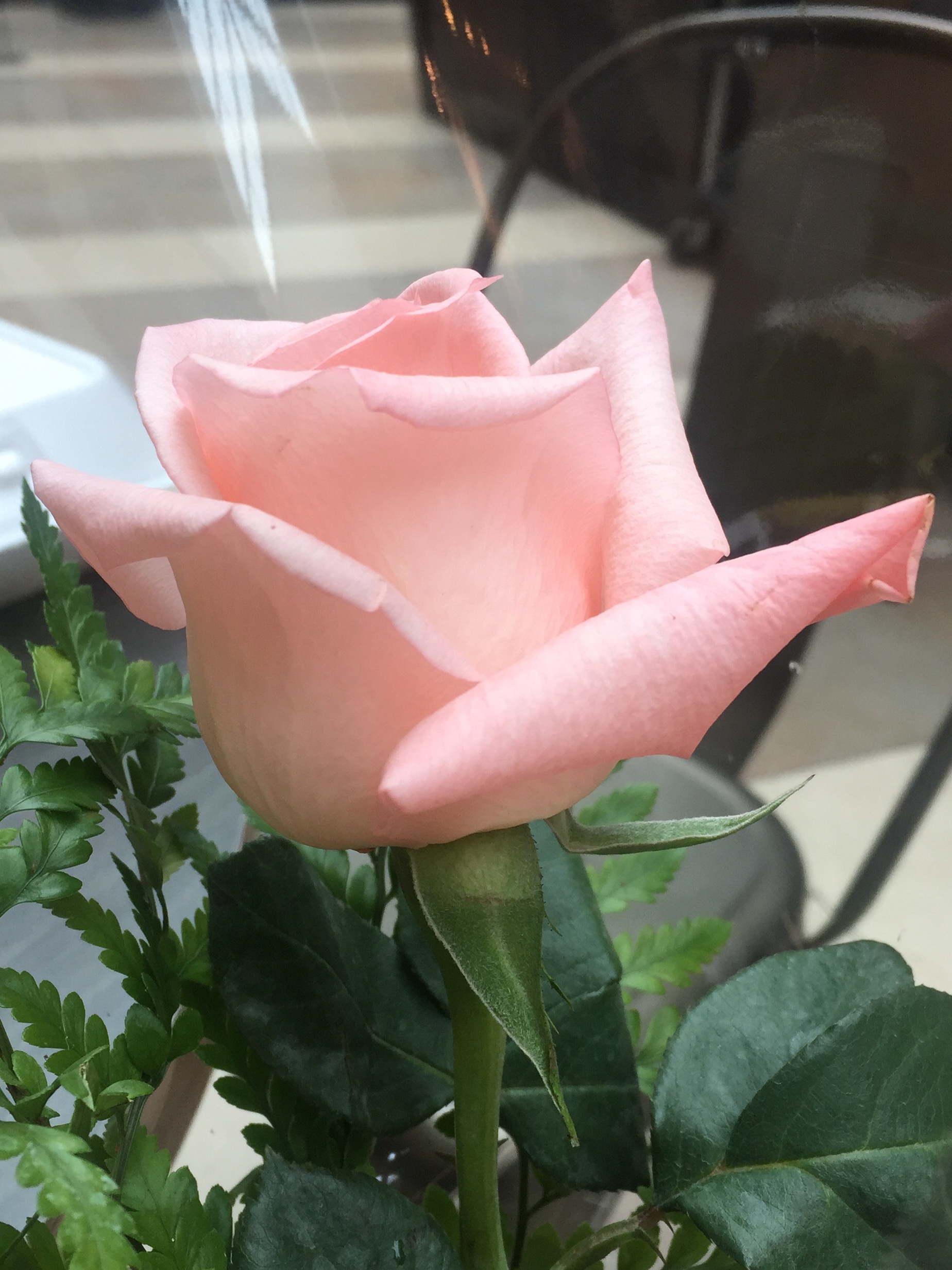 3717CB9F-7EED-4738-AAB9-2219DFF94BCE