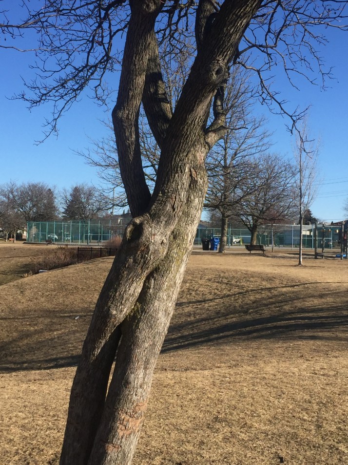 8A258FC4-0767-4CE9-8BA8-862B1D1E4C21