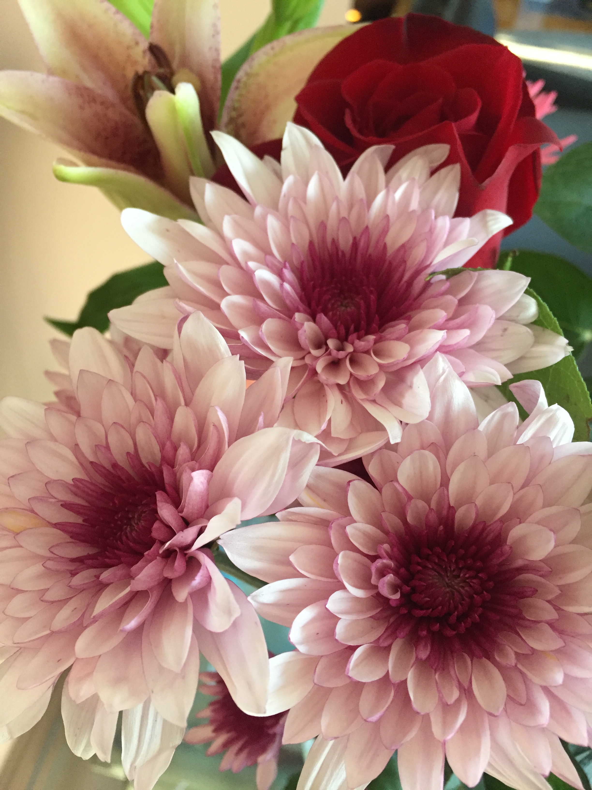 4ED57821-2ADE-498B-BDE1-0E94EDBCDB58