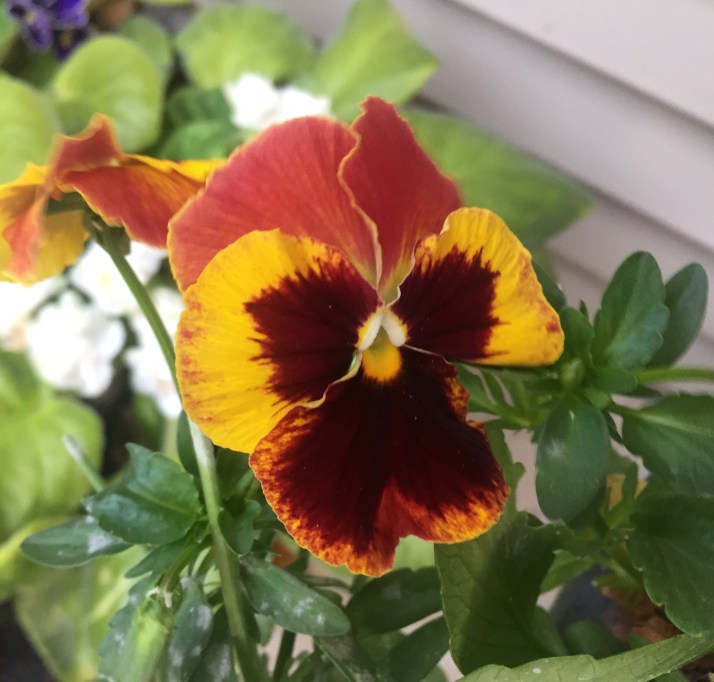 248F3A56-B163-41C5-B359-3164FCDE4D19