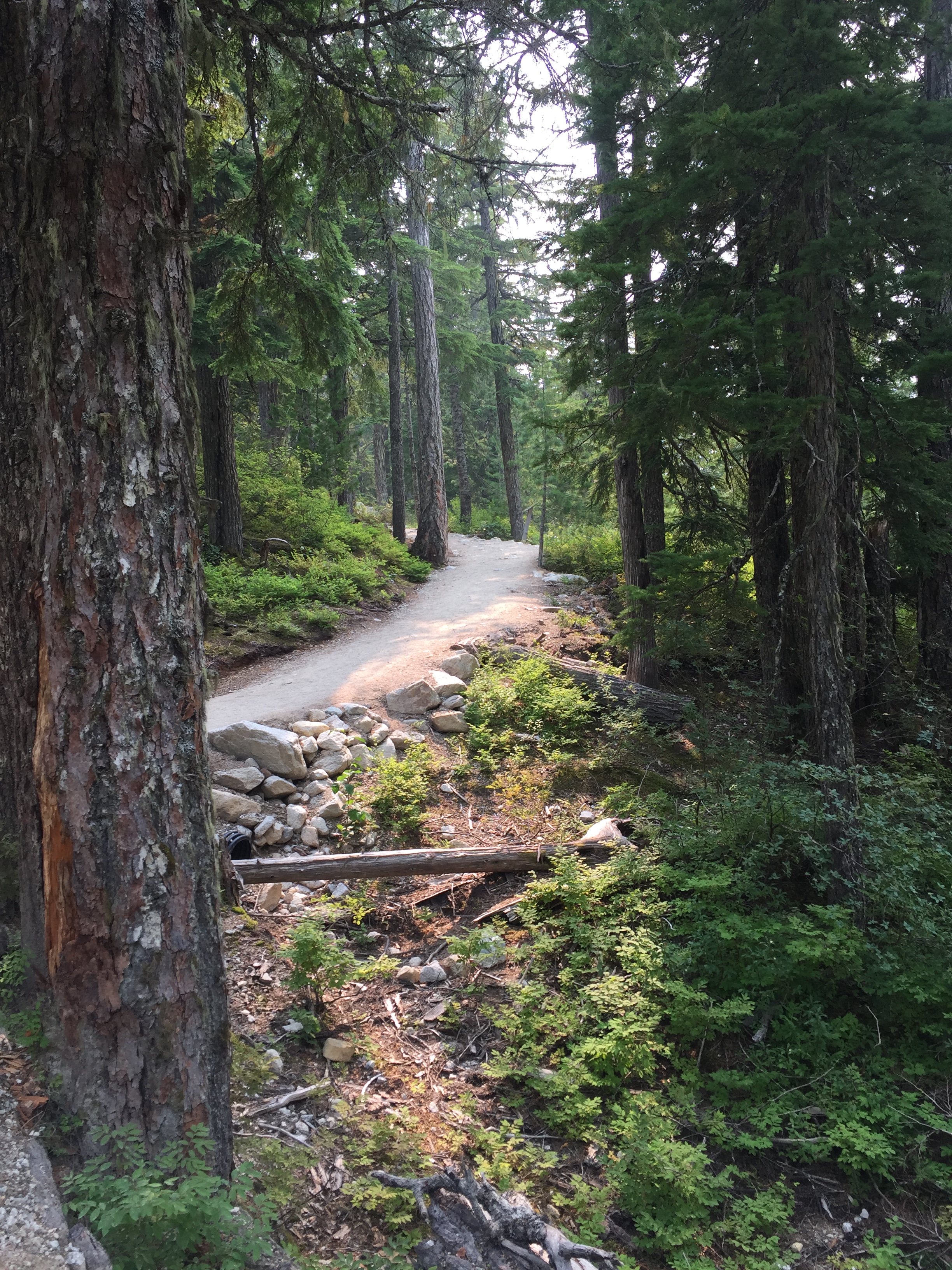 CC88CB46-DF0E-4C74-B4CF-3CB4770A48D9