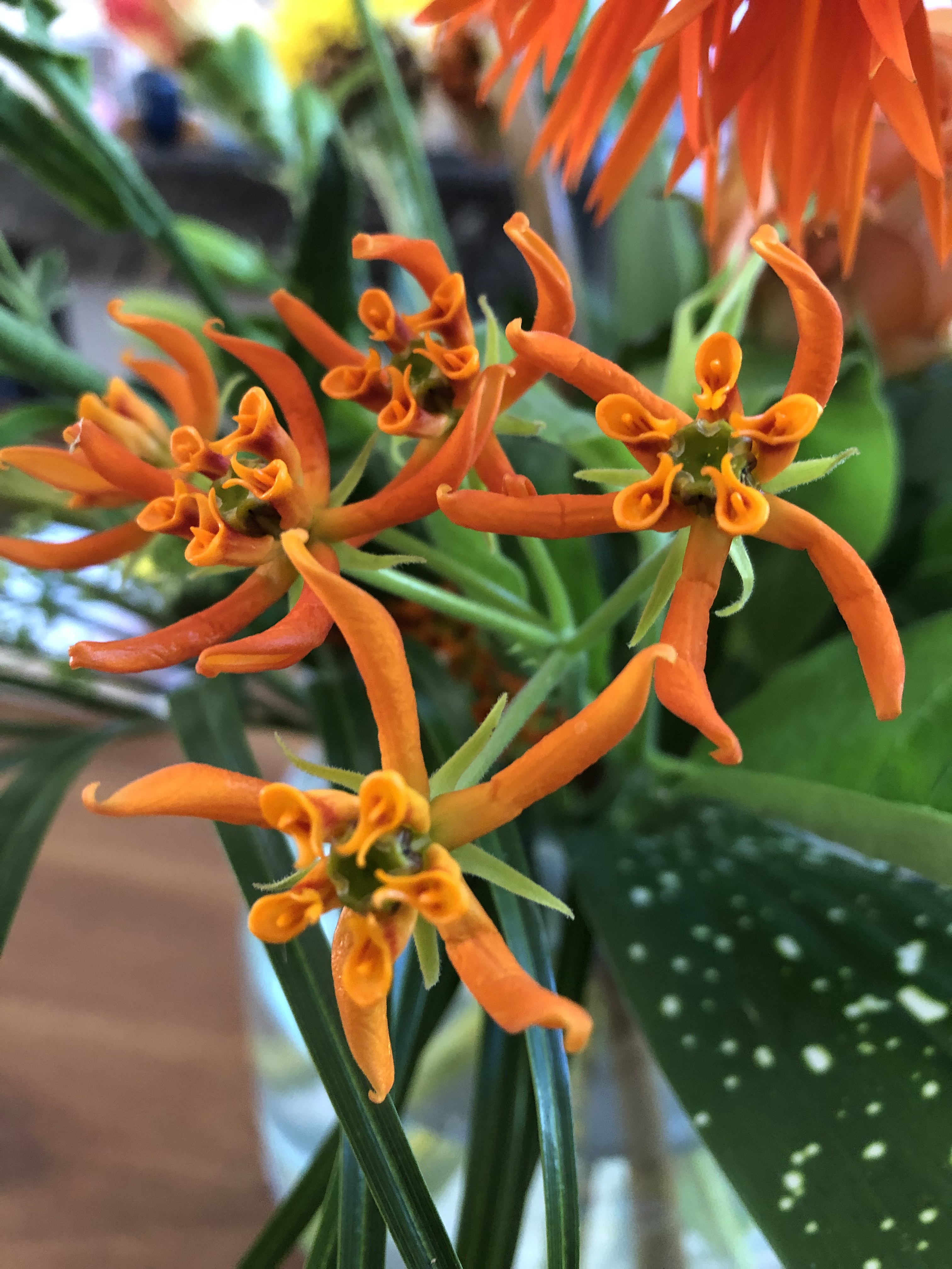 04751D06-DDEC-437F-B718-BC856D971869