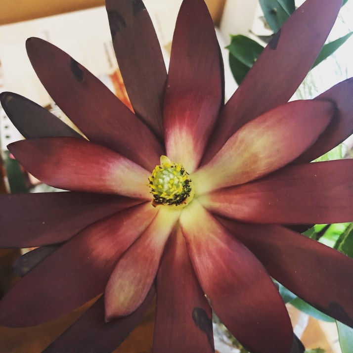 D92DF9B9-5787-4FD7-8EF6-0B857EF25414