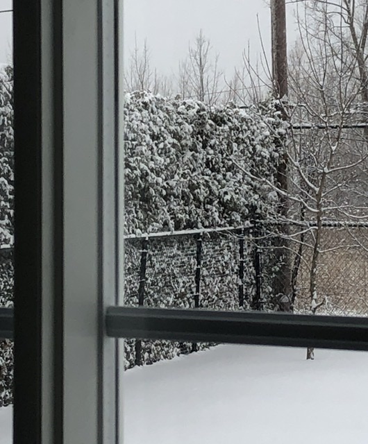 26DBAF2A-C96C-4EC9-981F-678FC136CA9E