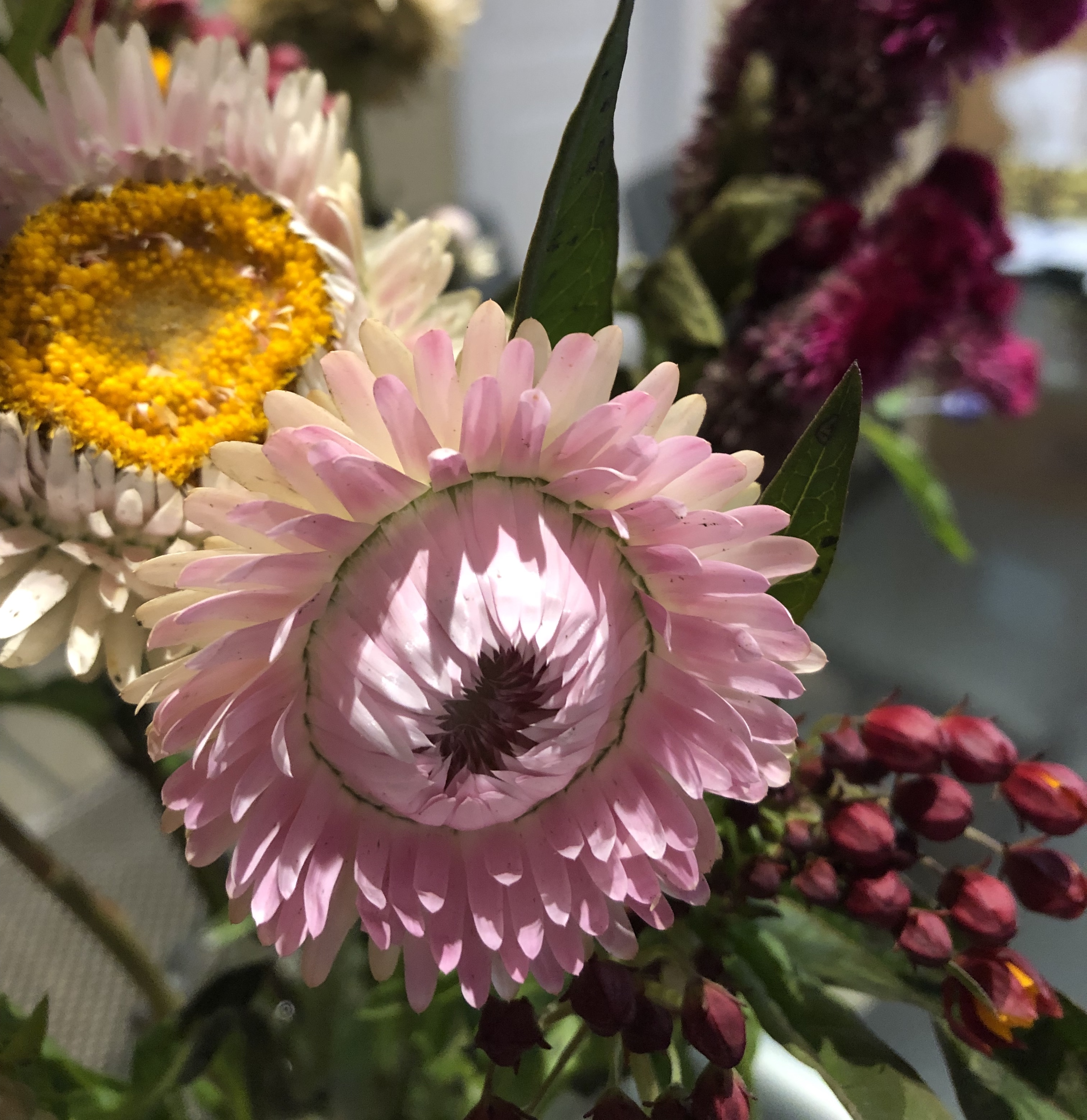 0B52F4EC-FEB3-4A39-A108-4EDE4F1109AC