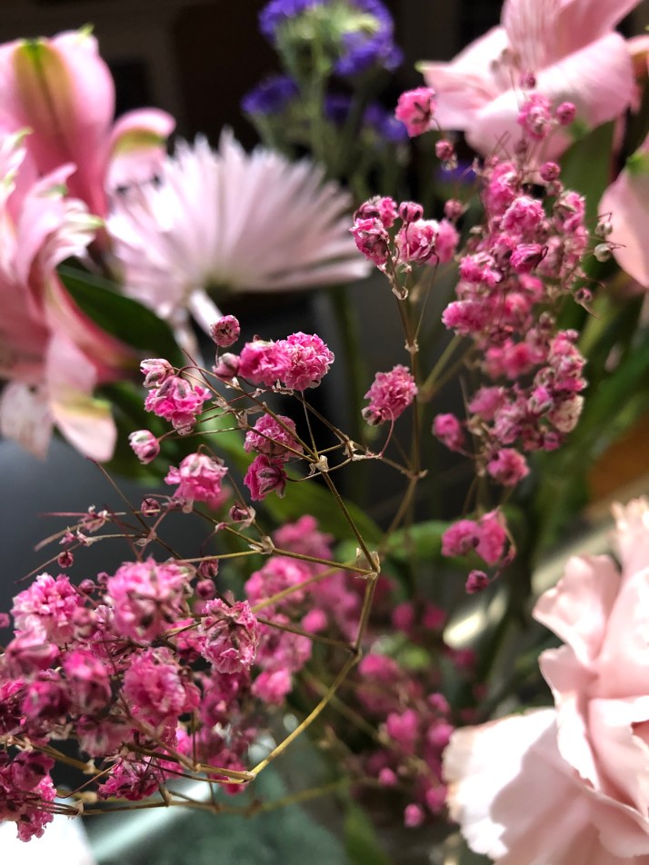 26307547-C3B5-442B-AE1E-8DFAAC1B42AB