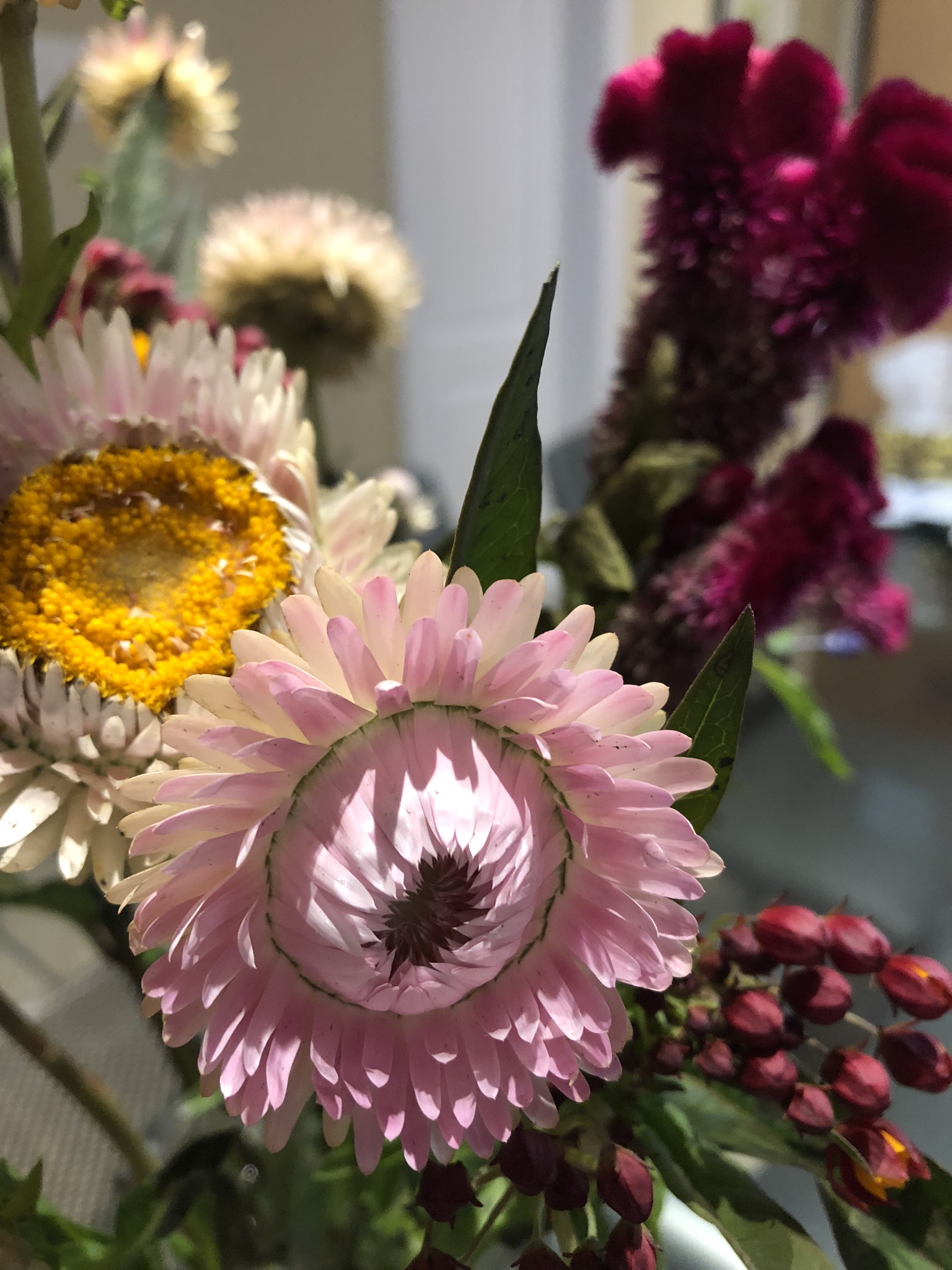 7D8FA4F7-2BAF-4B63-86E2-24B874252400