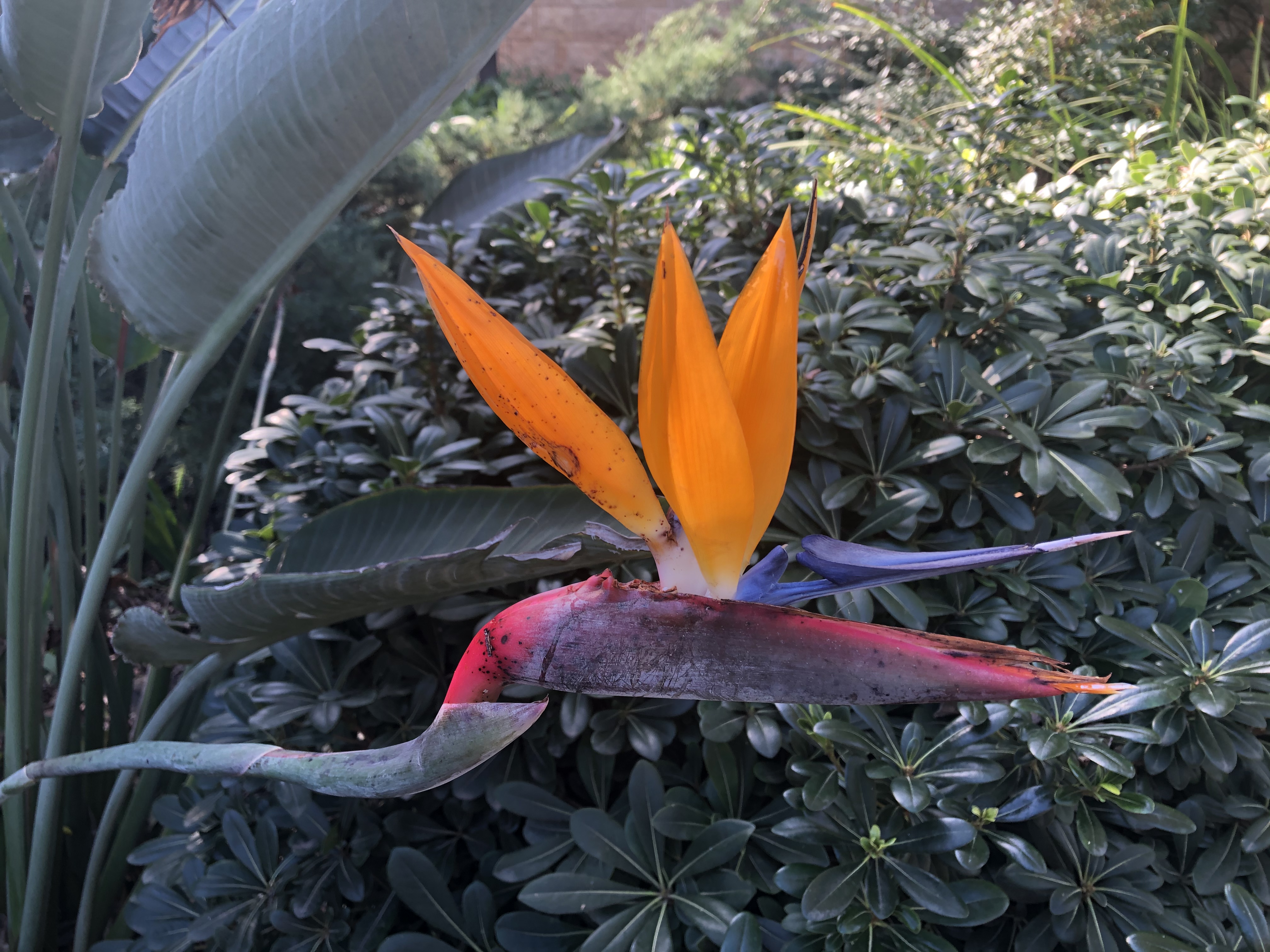 92E893B4-C609-45B6-B57A-4105007BAFBC