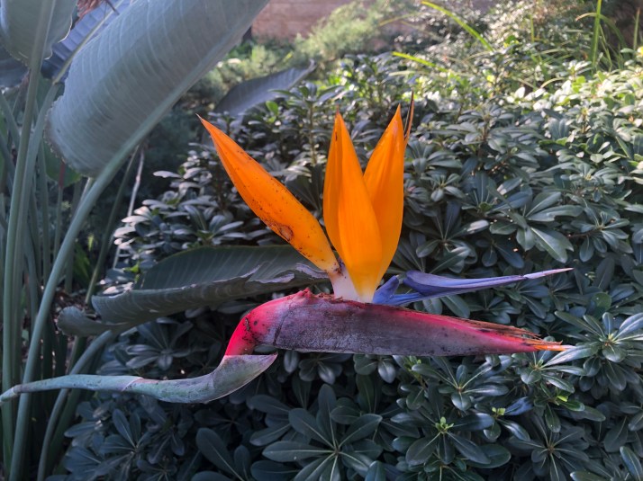 92E893B4-C609-45B6-B57A-4105007BAFBC