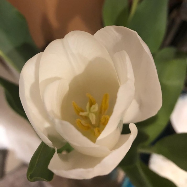 D5846462-2A7F-40EE-A871-26988B15680C