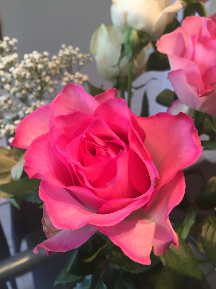 9806908B-B978-43AE-8D14-57A8C8721F53