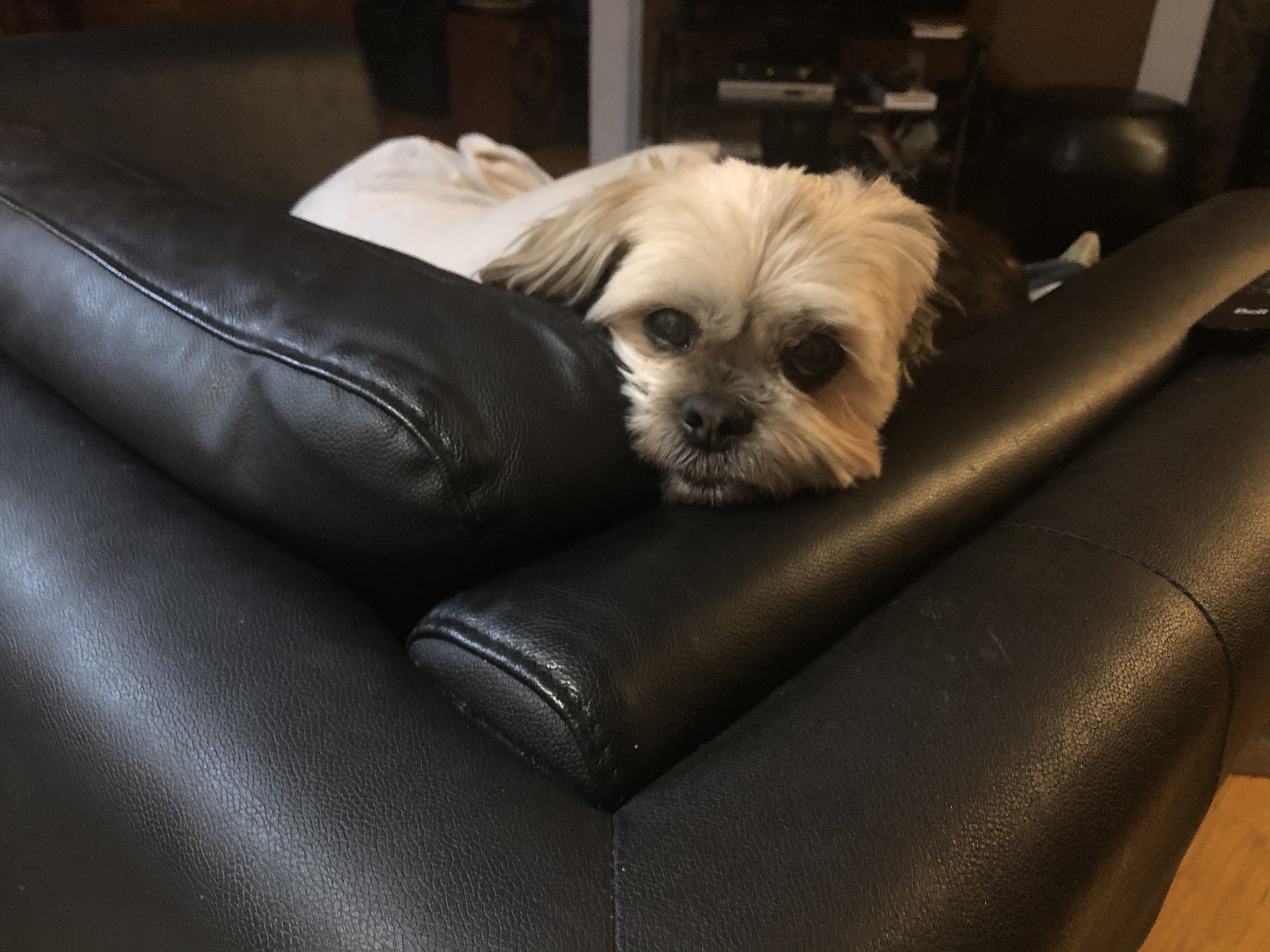 A67124F7-EACE-4D11-820E-C5433E27A1C9