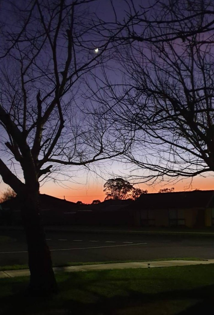 BF0F1B9E-6BCA-4F80-ABA7-4677D8A468A7