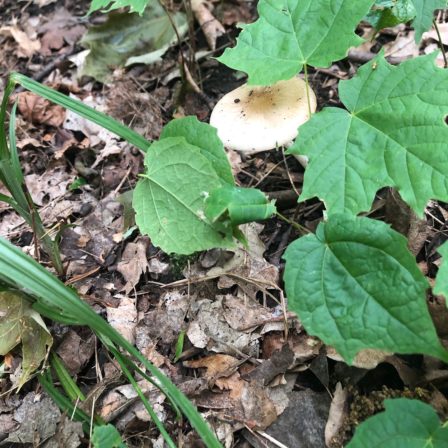 CD60D486-EED9-48F1-80D1-8B1BE356654E