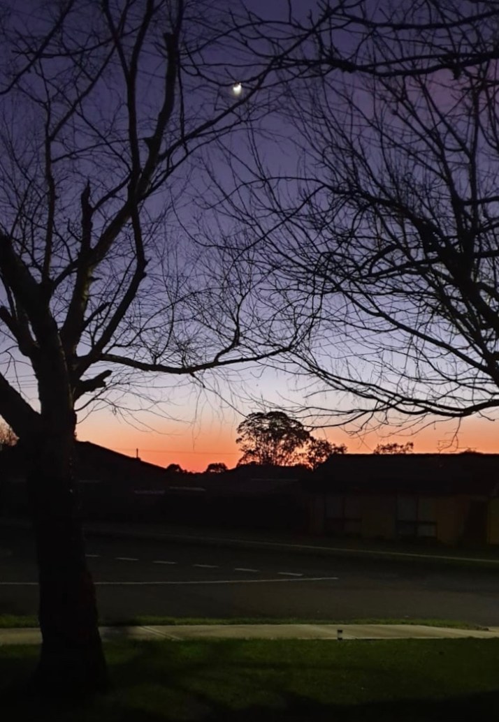 EF60F103-C125-4910-ACD3-7167727A64A0