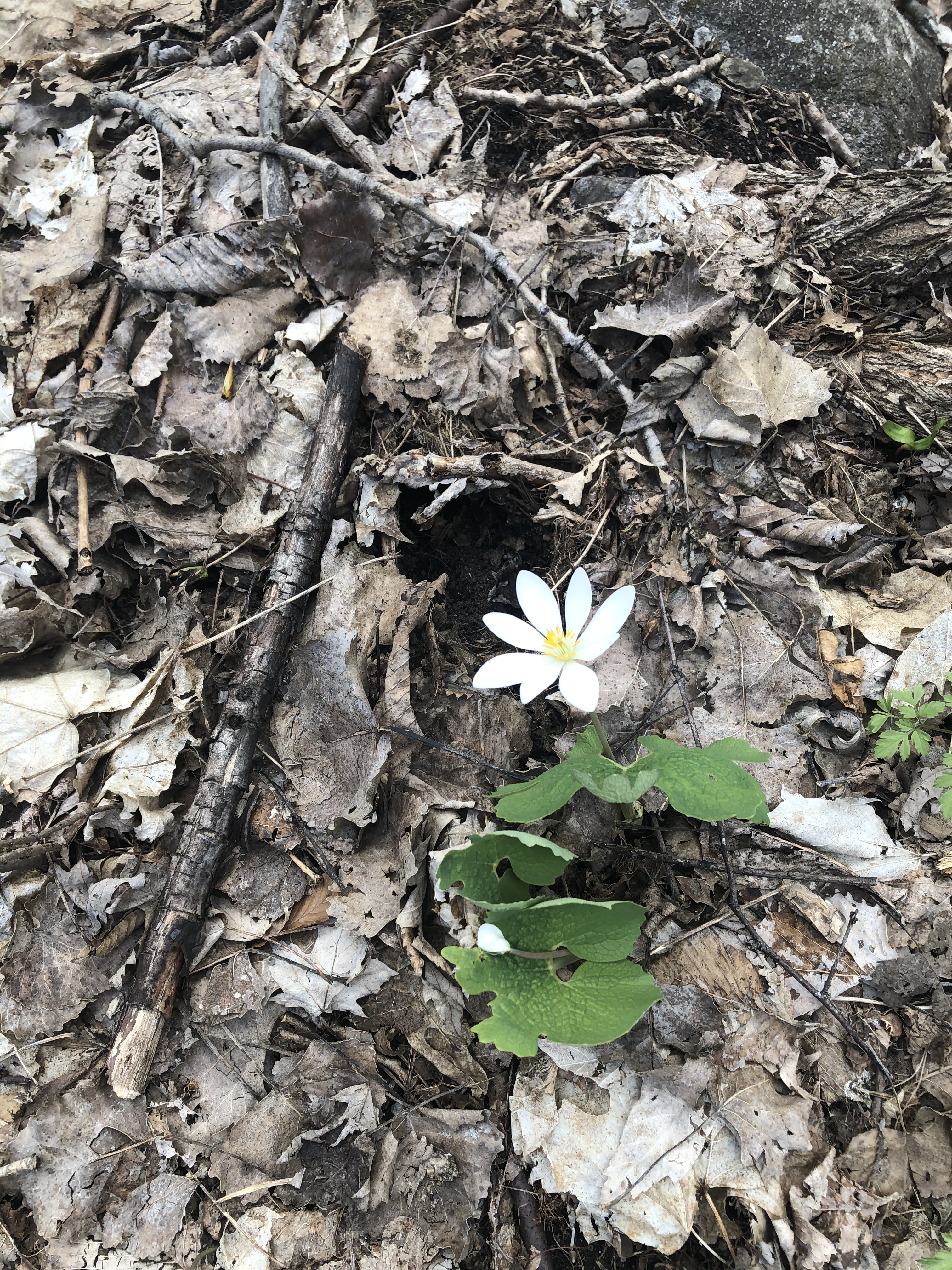 137EF89B-9A39-4458-B056-BD802C89E1C0