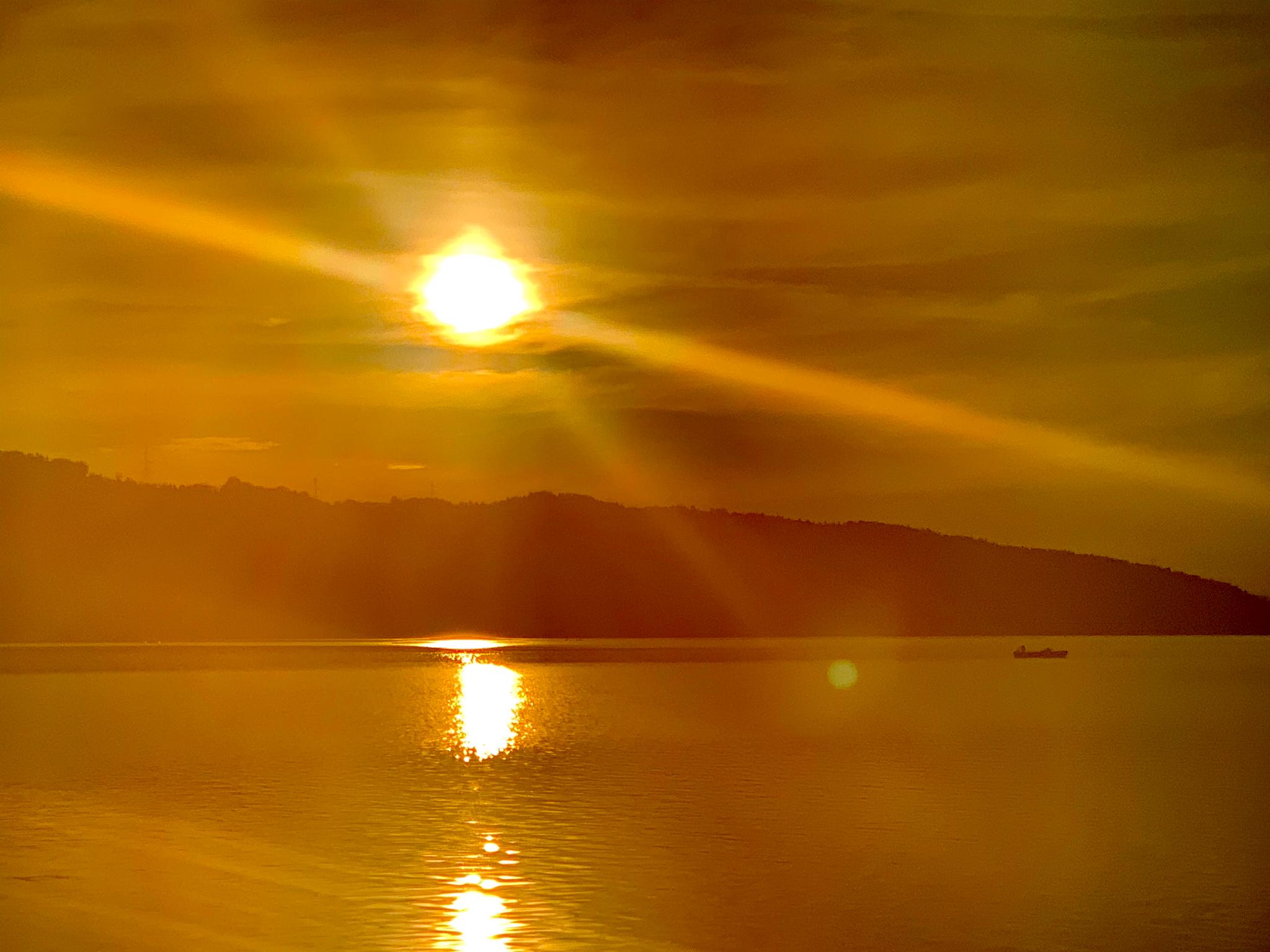 FB5C75DF-A257-433A-BB84-13F5072509F0