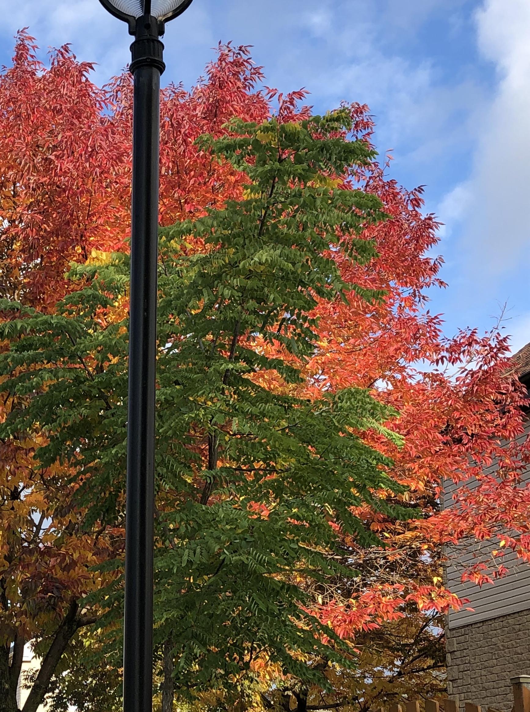 C60537EF-1CD3-40B8-8ADE-BDD135F9E223