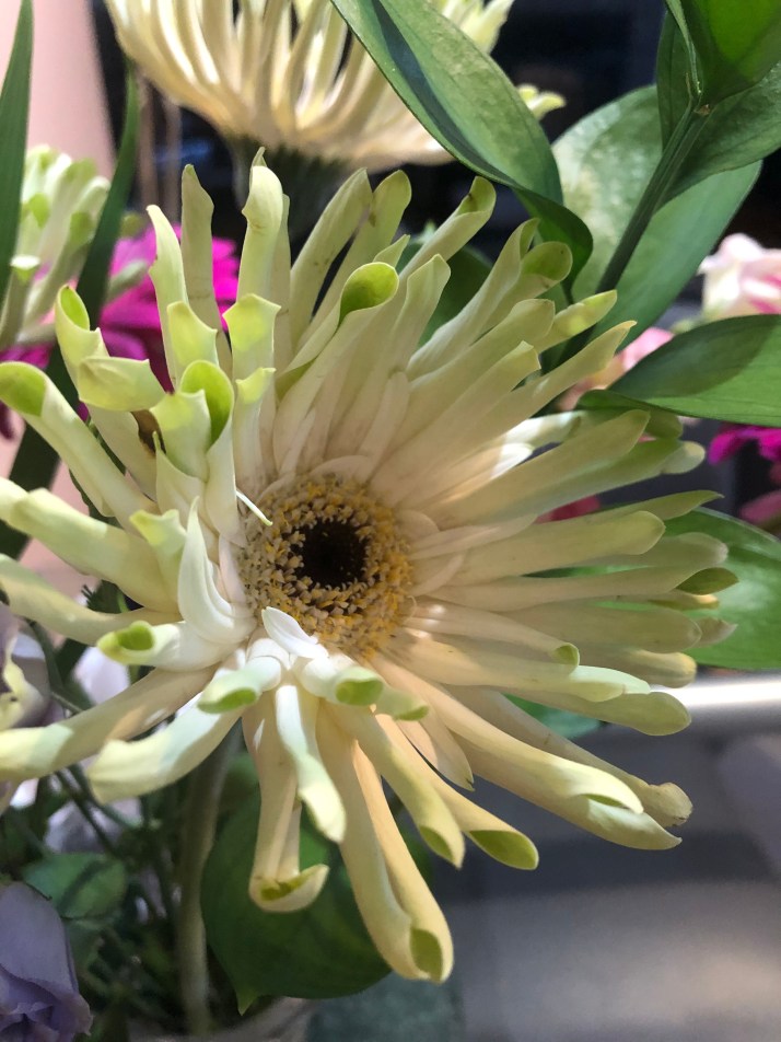 7738244F-F4C7-473C-AF2F-212F200EBD4D