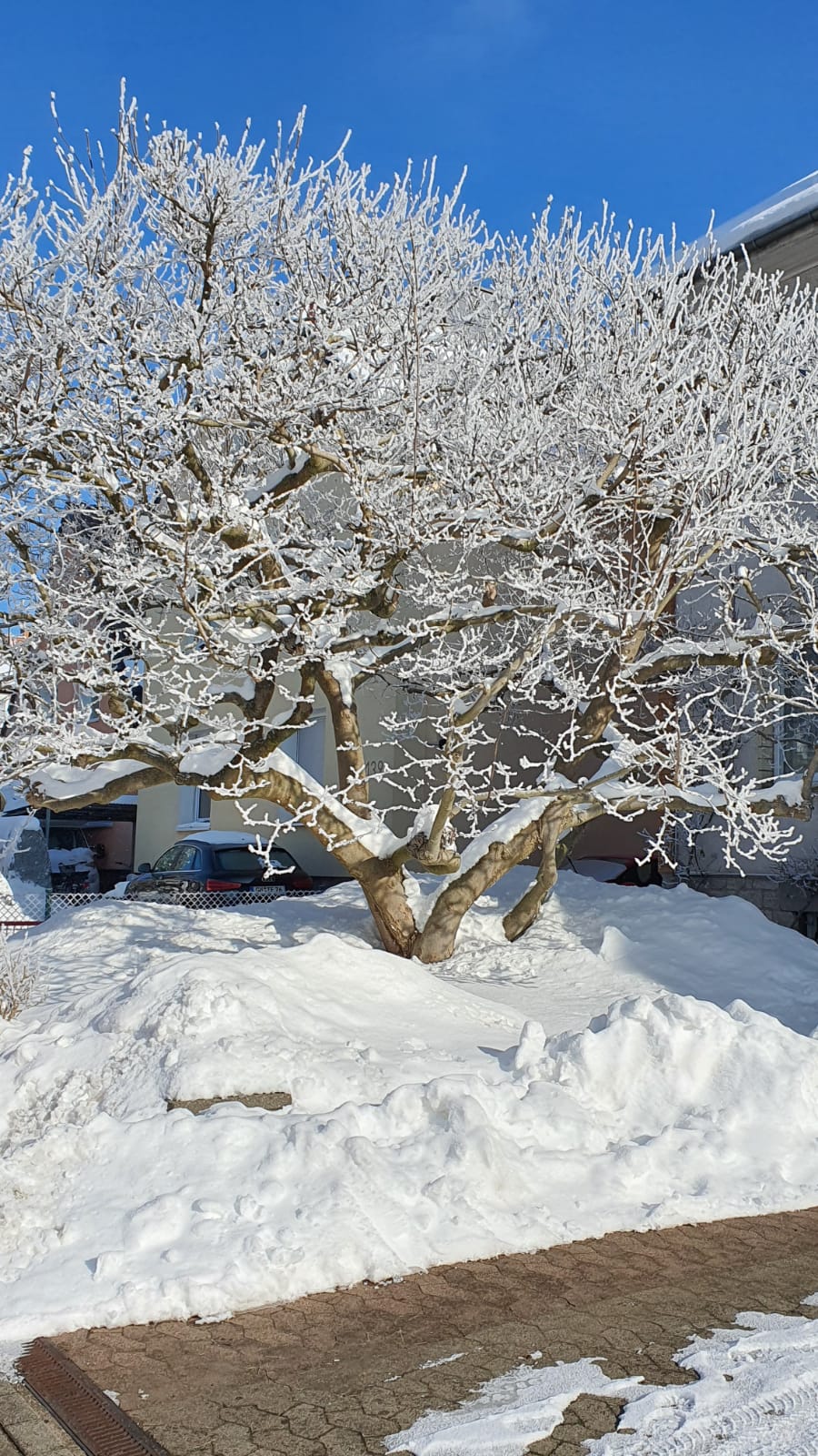 78BEC412-812C-4C0B-A9AC-758A6520CD98