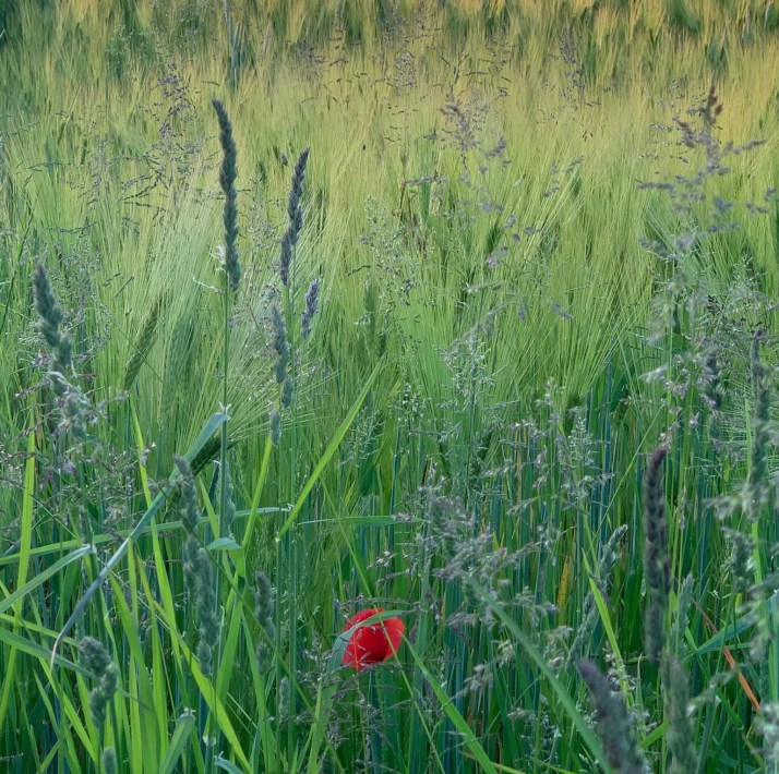 61f5bea1-915b-42b7-9e65-0cb1f1d69ed9