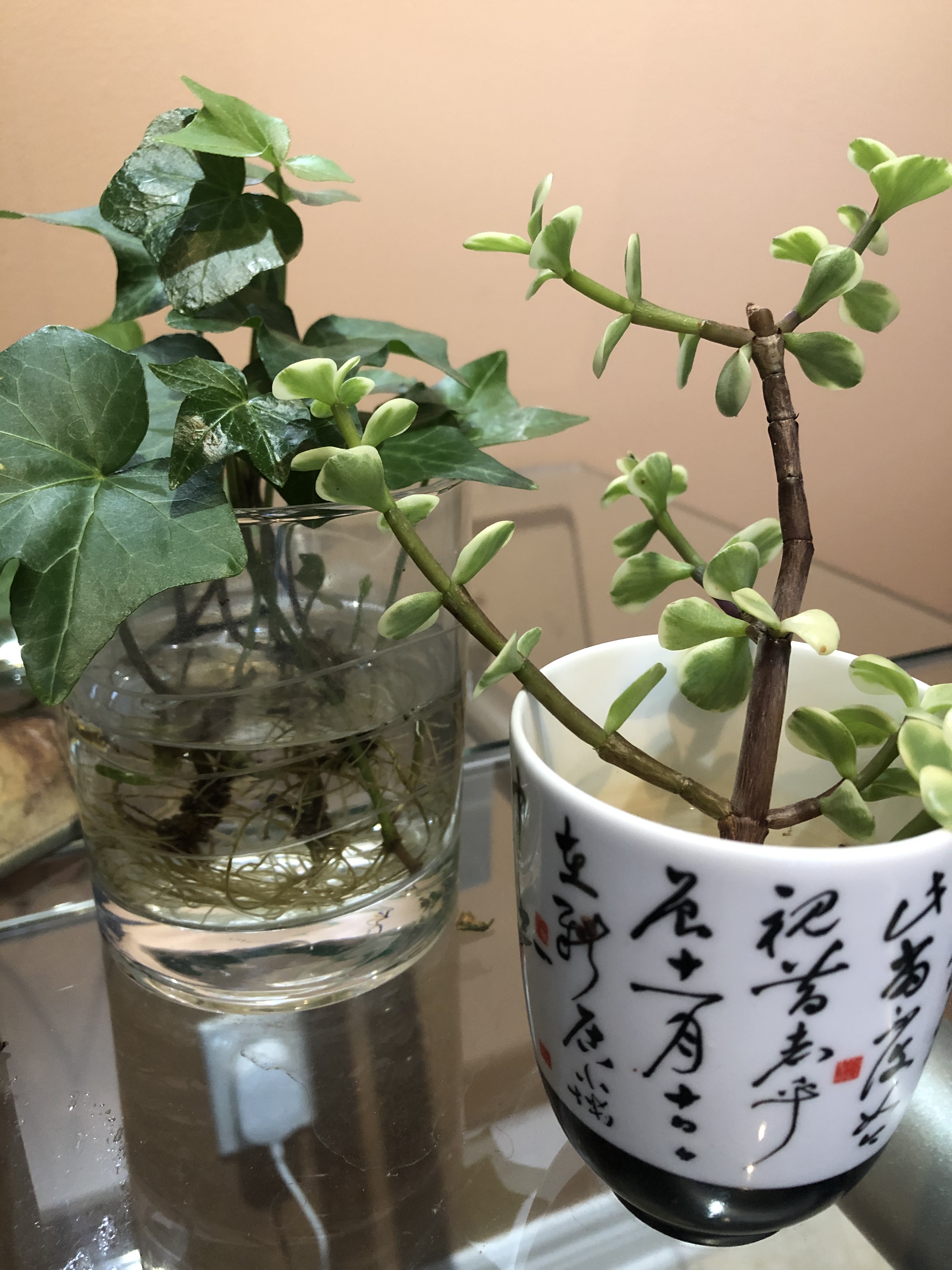 CD96C5BD-9B04-4989-B69A-92D2AF1A605D