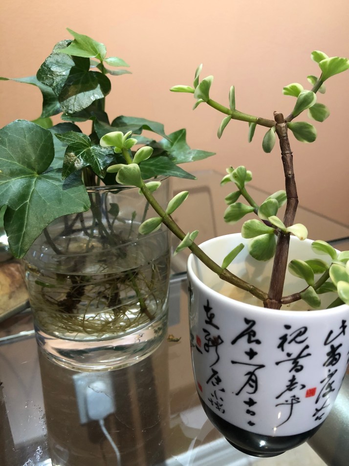 CD96C5BD-9B04-4989-B69A-92D2AF1A605D