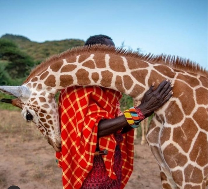 F0AEDB67-CD2B-4AD6-9930-BC8E36757E74