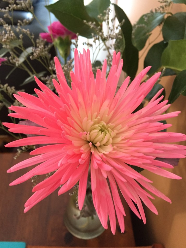 9602ad86-86d0-4c76-ae12-12d37ee73042