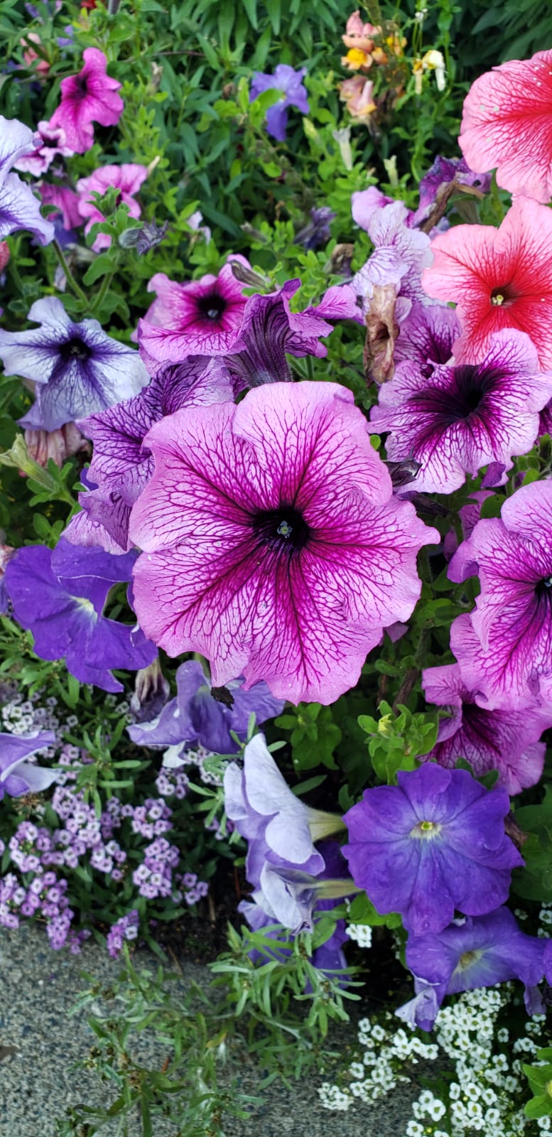 6DC8B7BD-2D9E-4C85-B877-CCE6898670E8