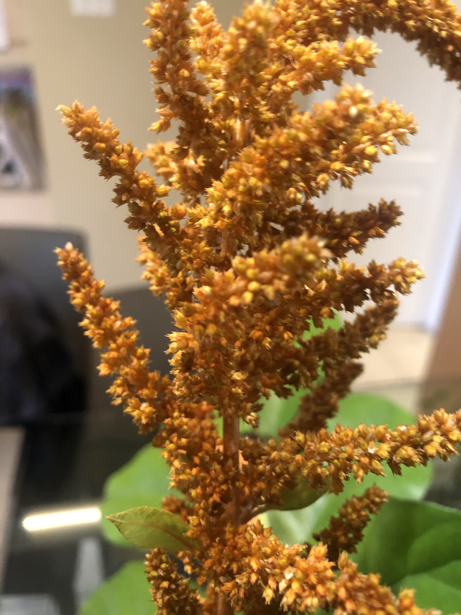 907685F7-EACD-4D13-9CCE-B4D86B163A5A