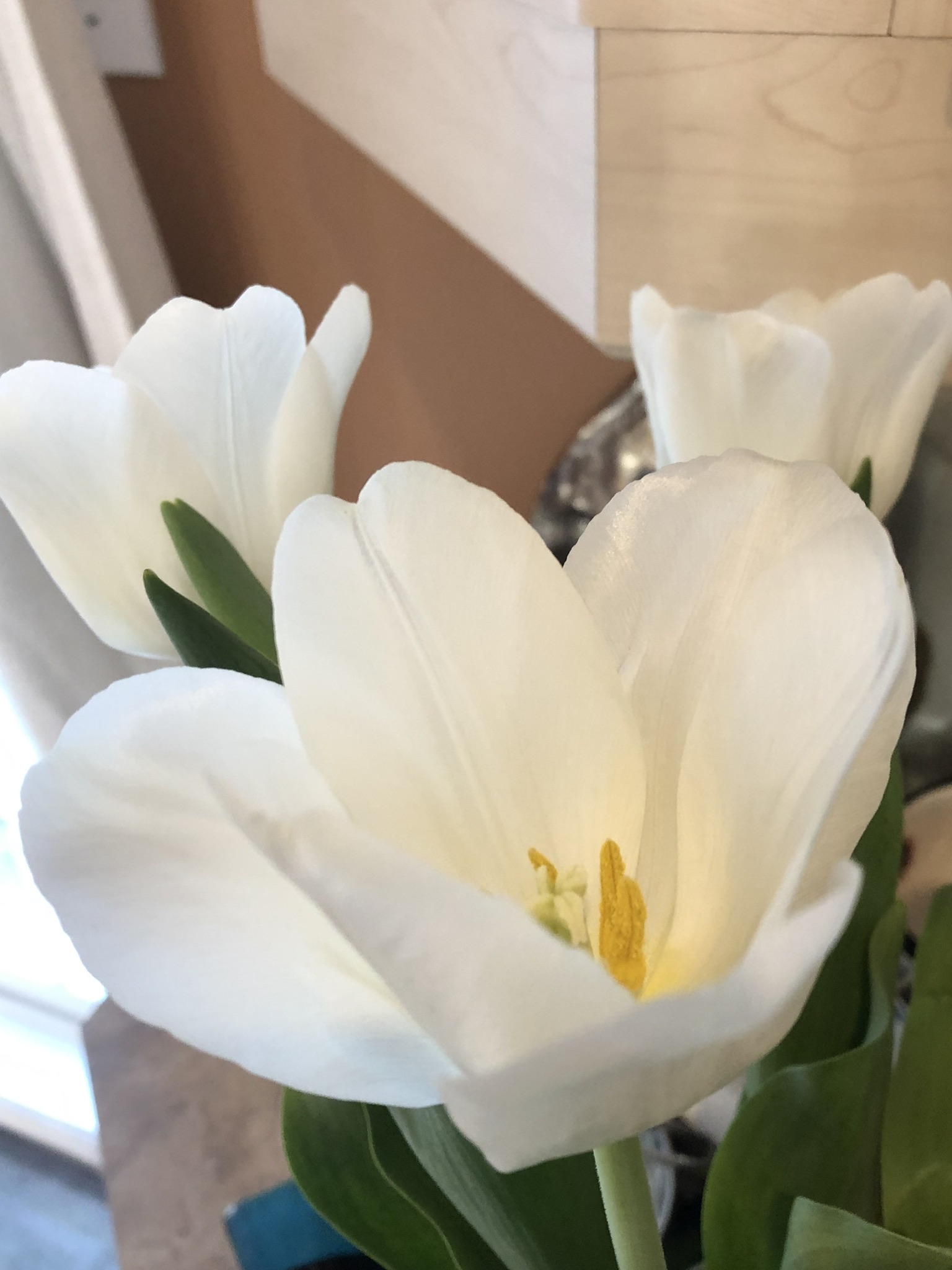 95C3D2F4-C919-454E-9B91-0B13575DC328