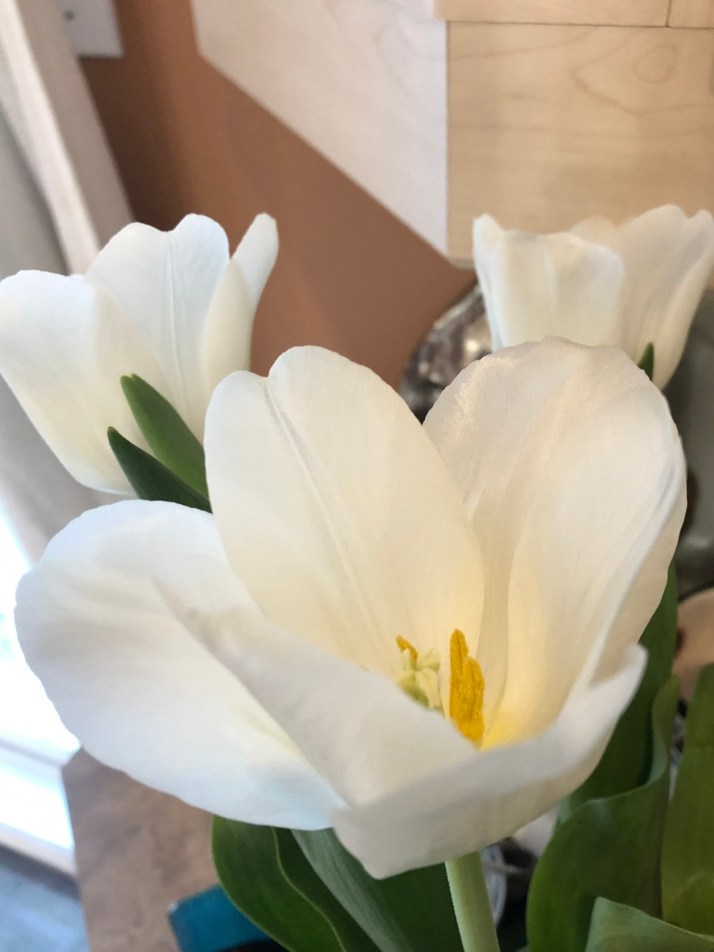 95C3D2F4-C919-454E-9B91-0B13575DC328