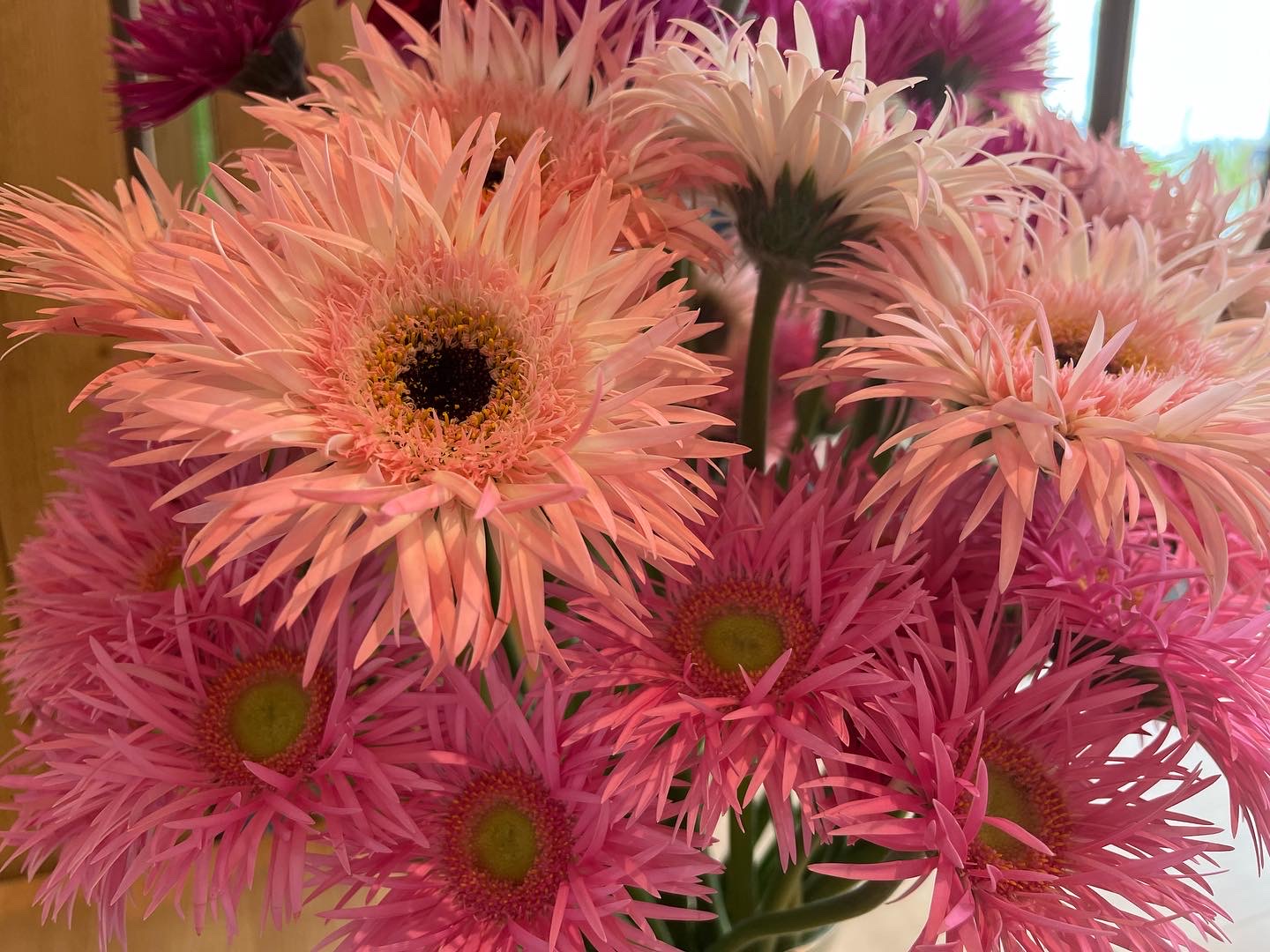 9E0B931C-6141-49EE-9408-29B540072B31