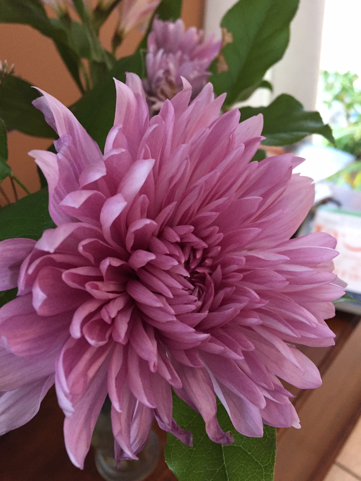 D8731C58-38F3-4E02-989B-0D00C33D095A