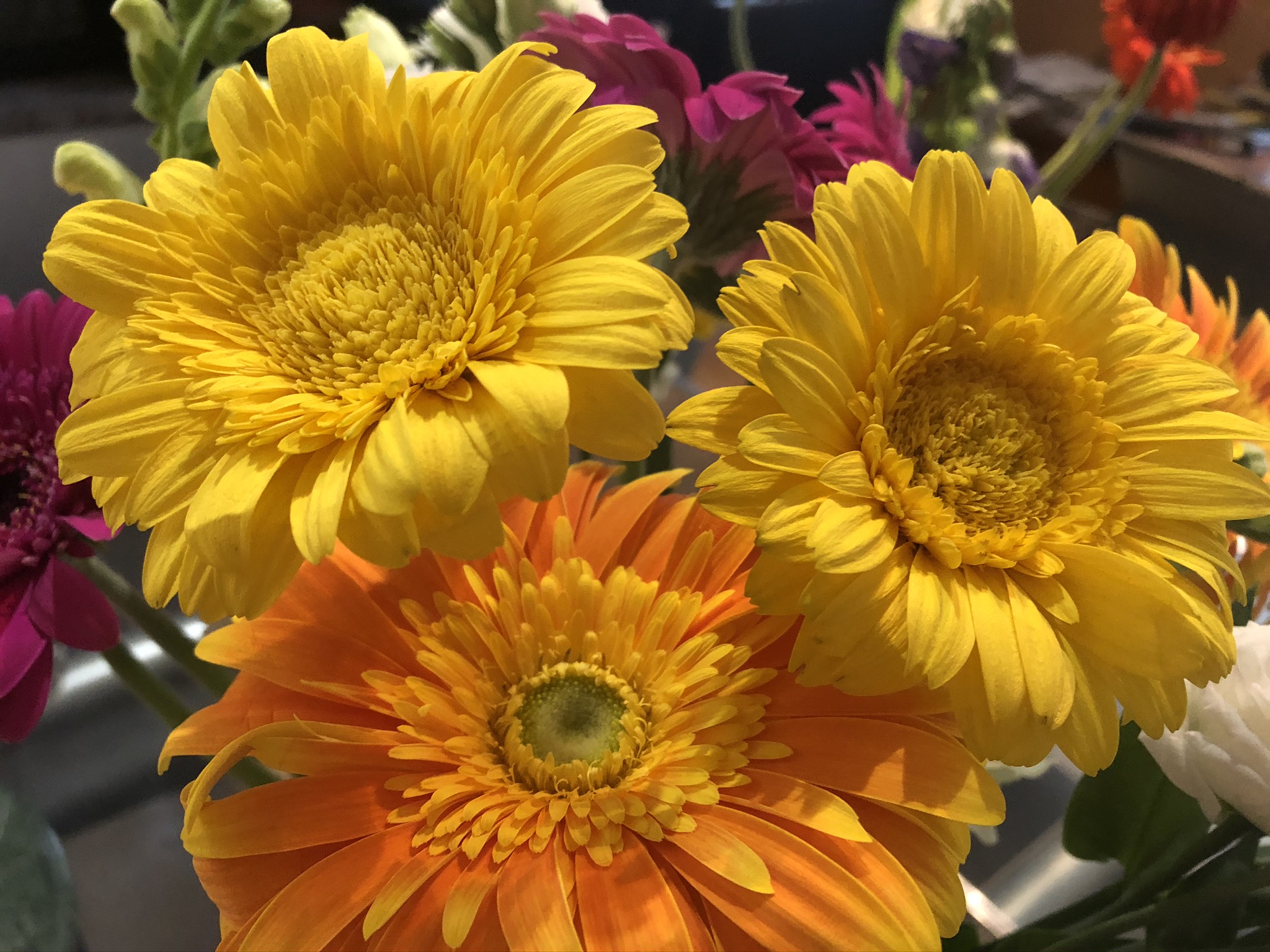 65C8C4A0-8B1F-4019-824D-BA2ECCF6EA20