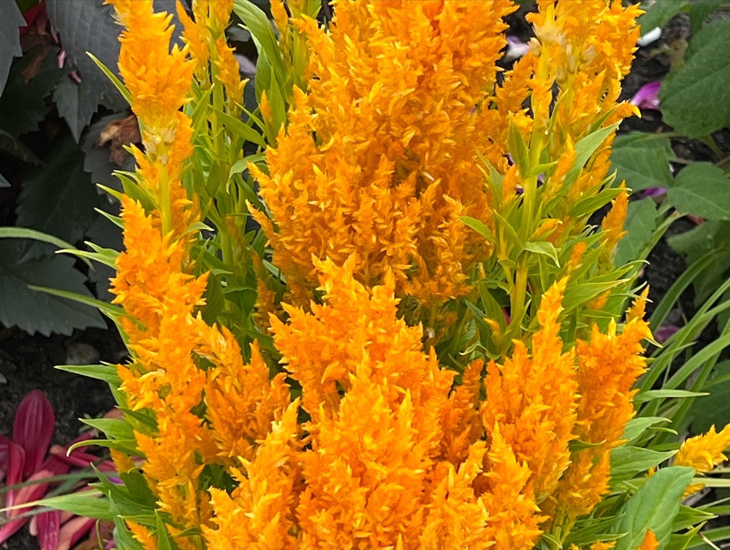 90184883-4549-4670-97CF-5E648A7BE771