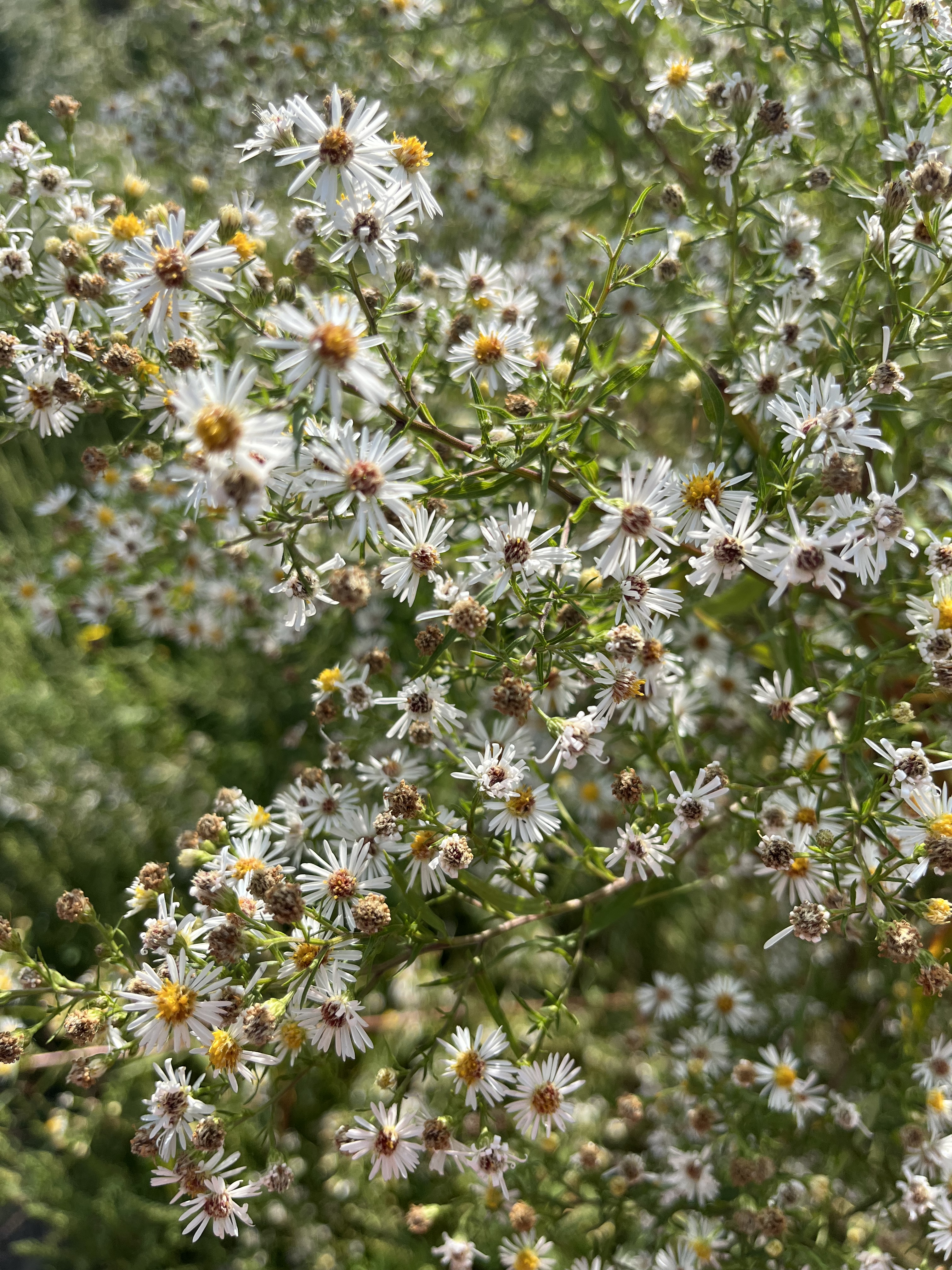 9085952E-38B9-402D-A76F-CB7840AC3180