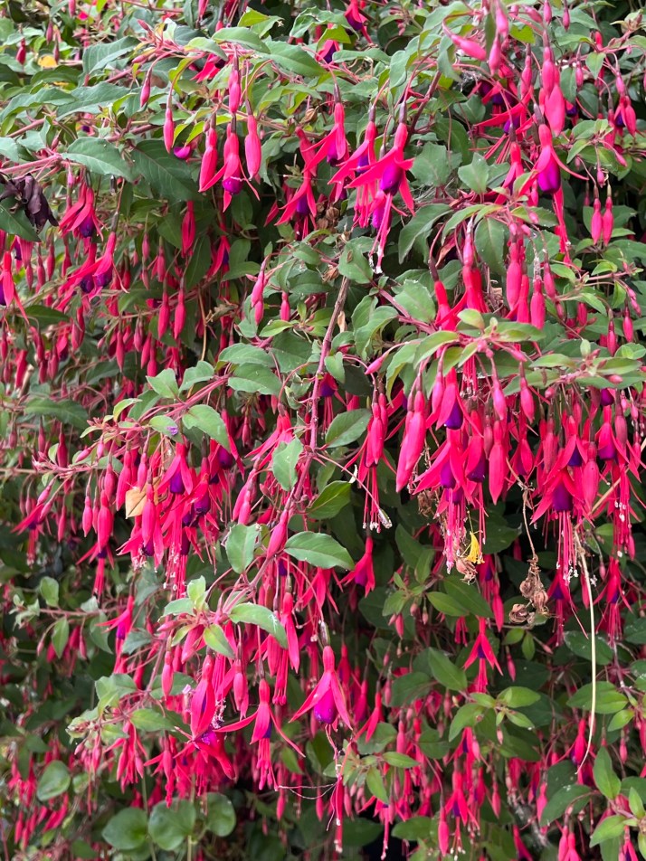 97C0F0FE-C381-40C1-8ADA-9C40F57B709B