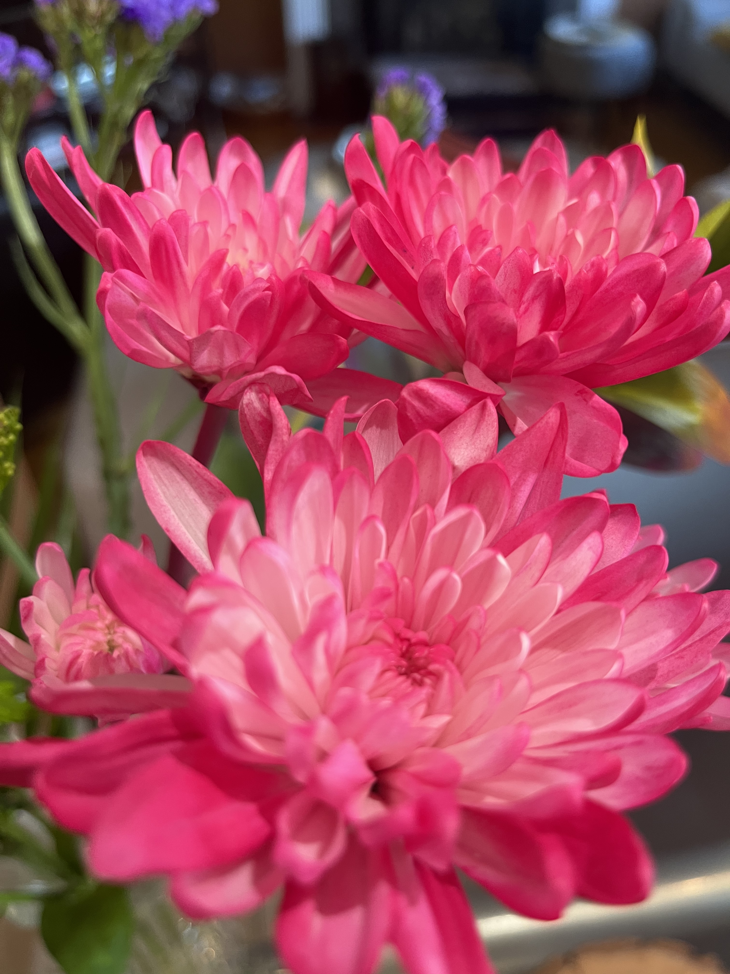 0F1F10E0-B1F3-4C16-ABA9-C50BF902154F