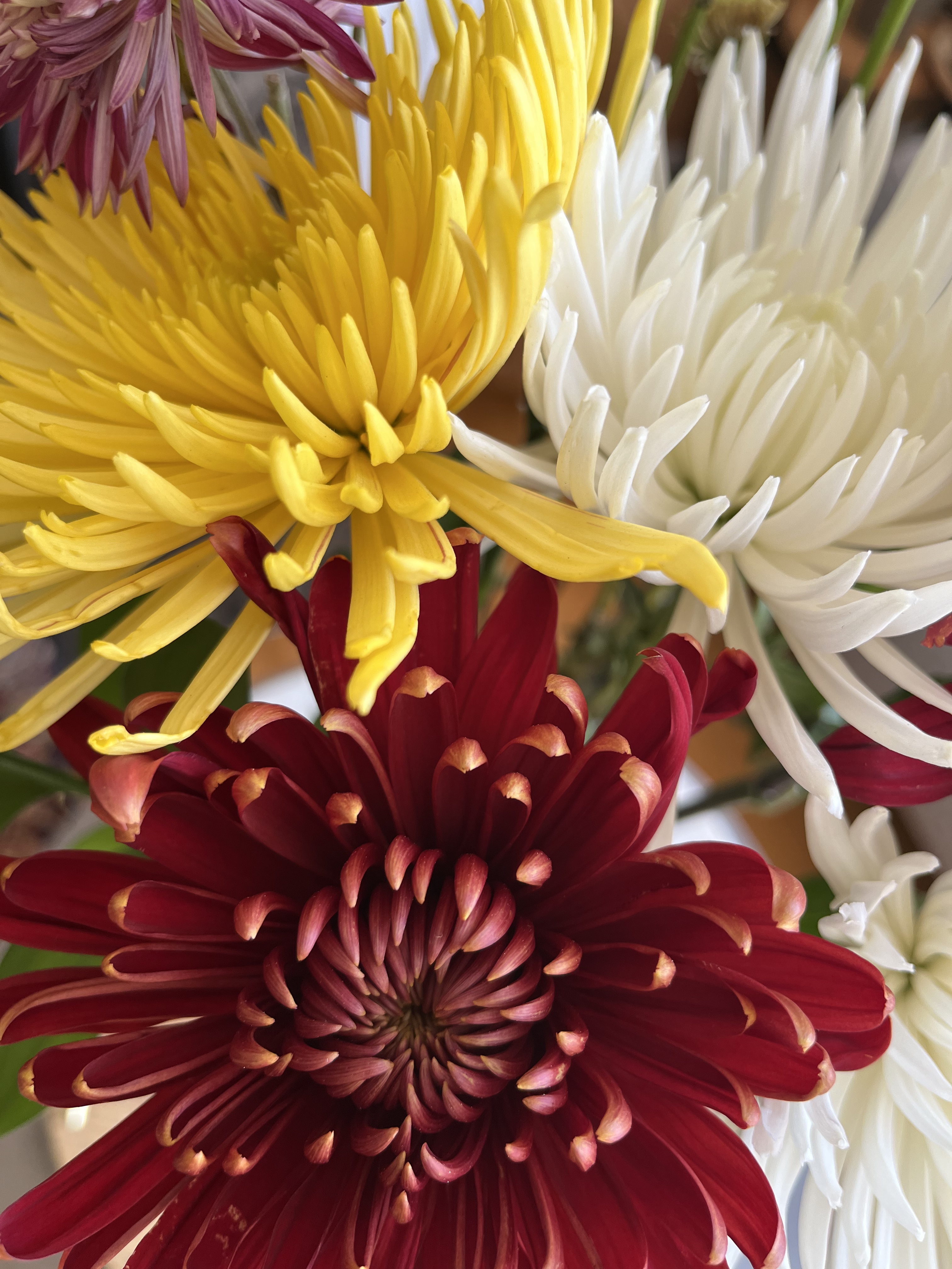 212B5AC1-F5EC-48CE-A074-596F5F664F07