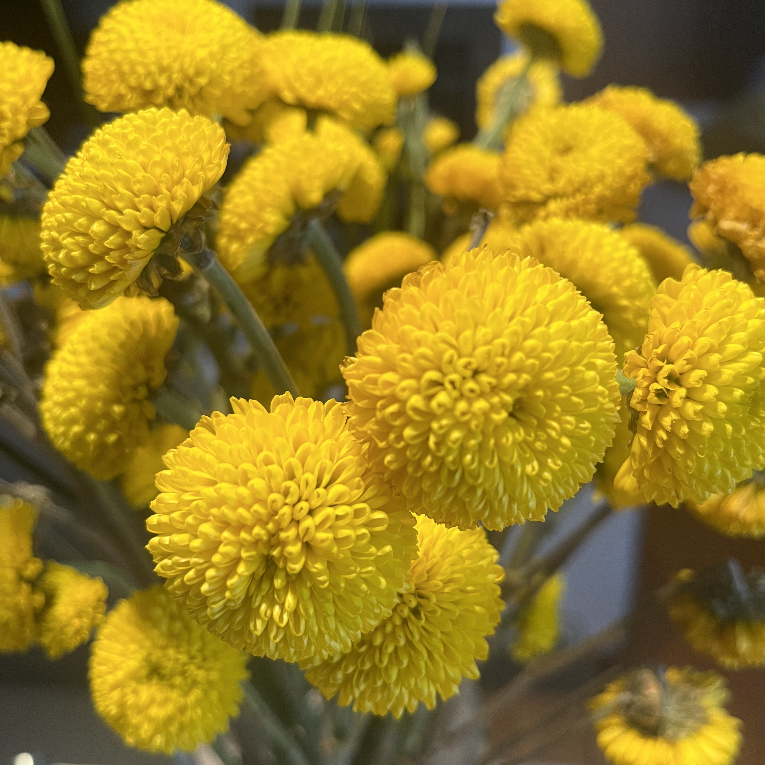 261DC74B-CD59-4321-B77A-4A7C535DB539