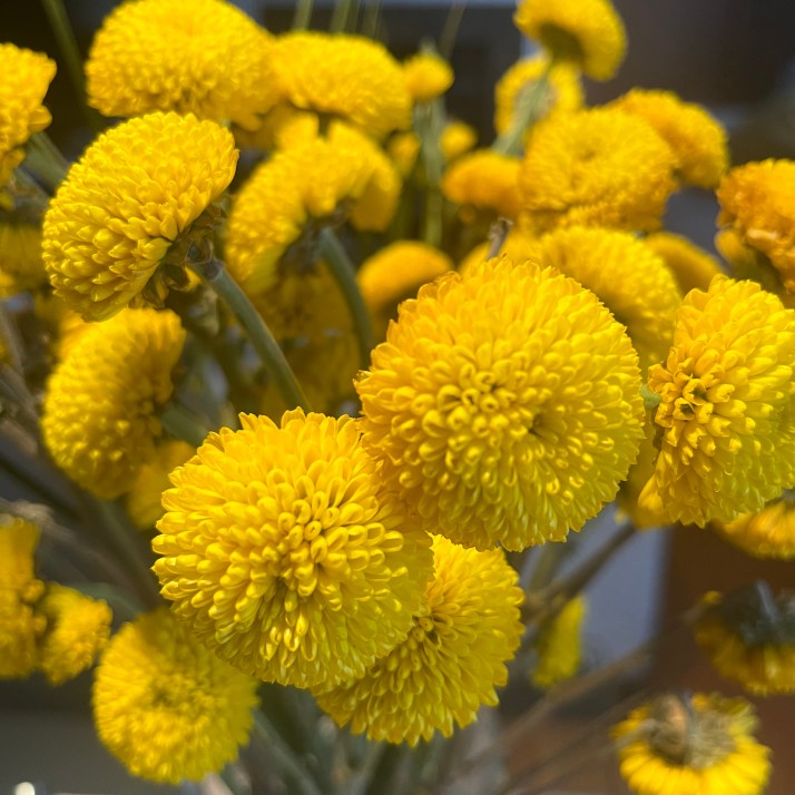 261DC74B-CD59-4321-B77A-4A7C535DB539