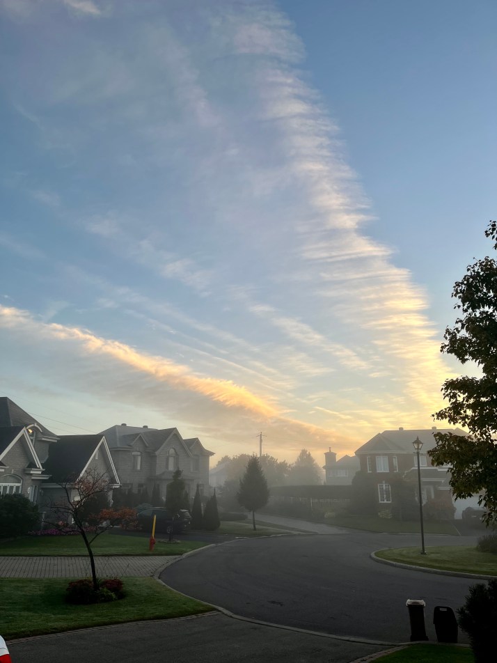 27851F95-CD9C-4FF9-91DC-B492BCDC115B