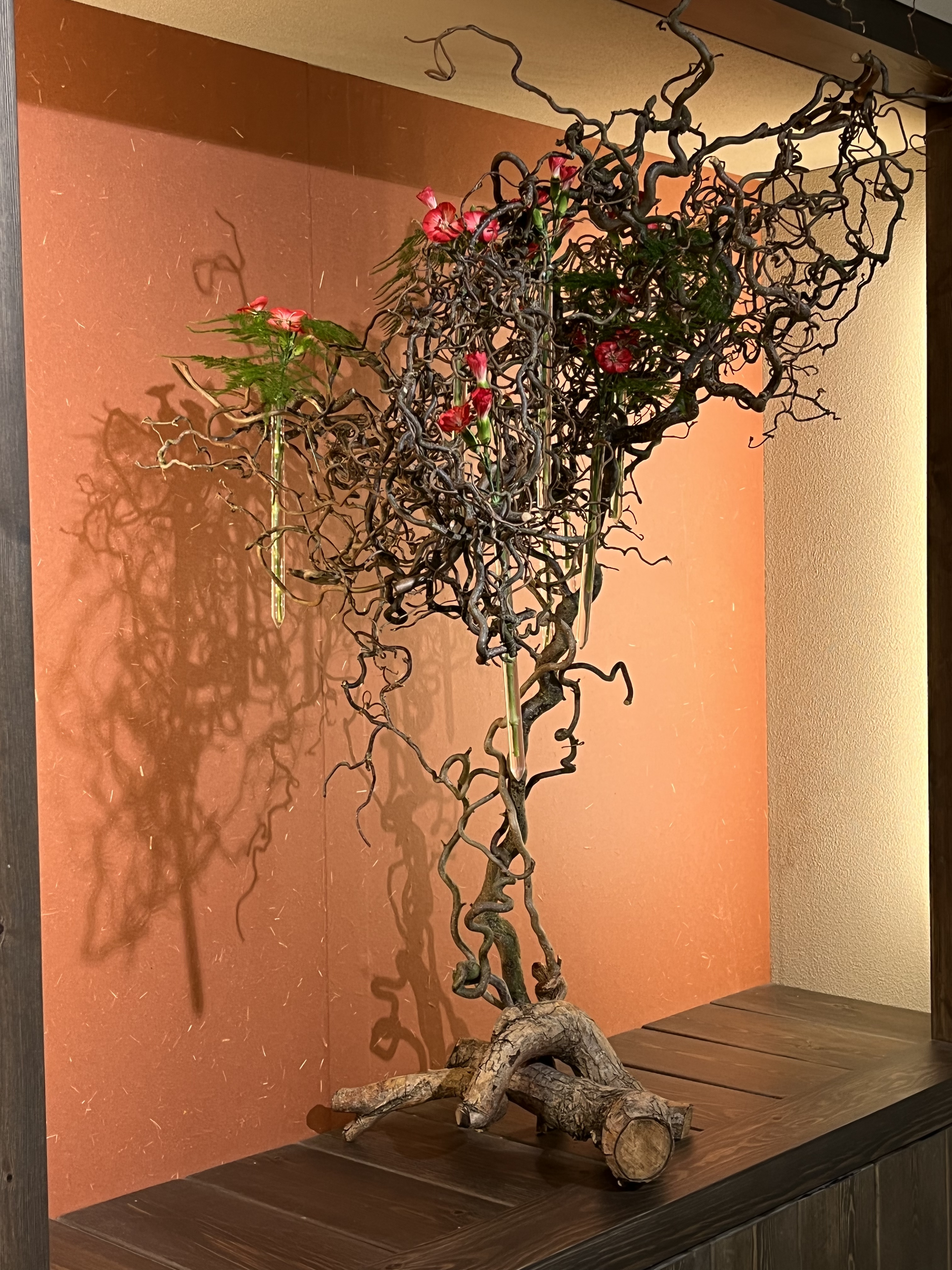 34F70162-A23D-496F-97B9-92F5883DFF8D