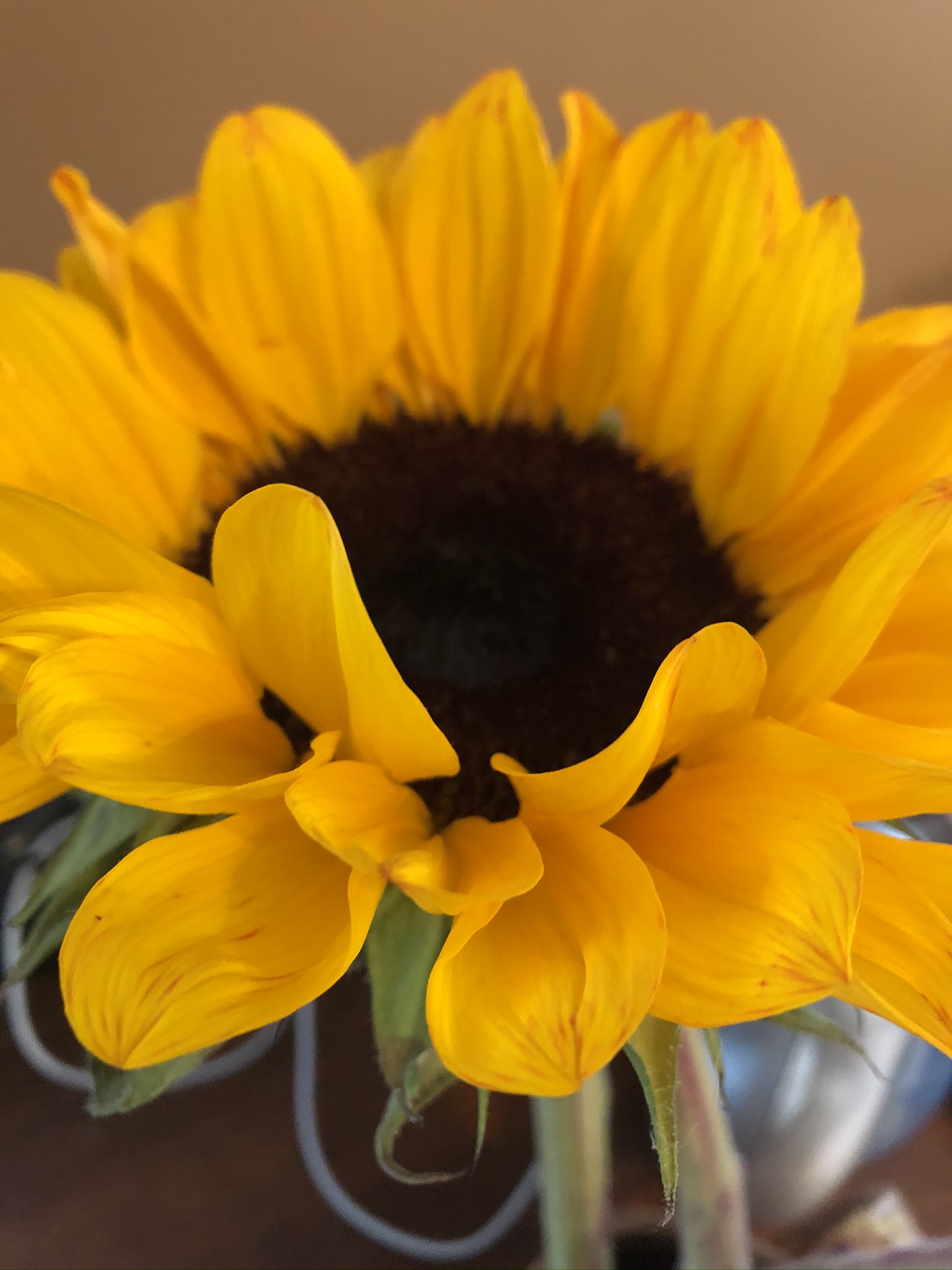 3F7632B6-C27B-43F2-A494-39ADFBDA3544