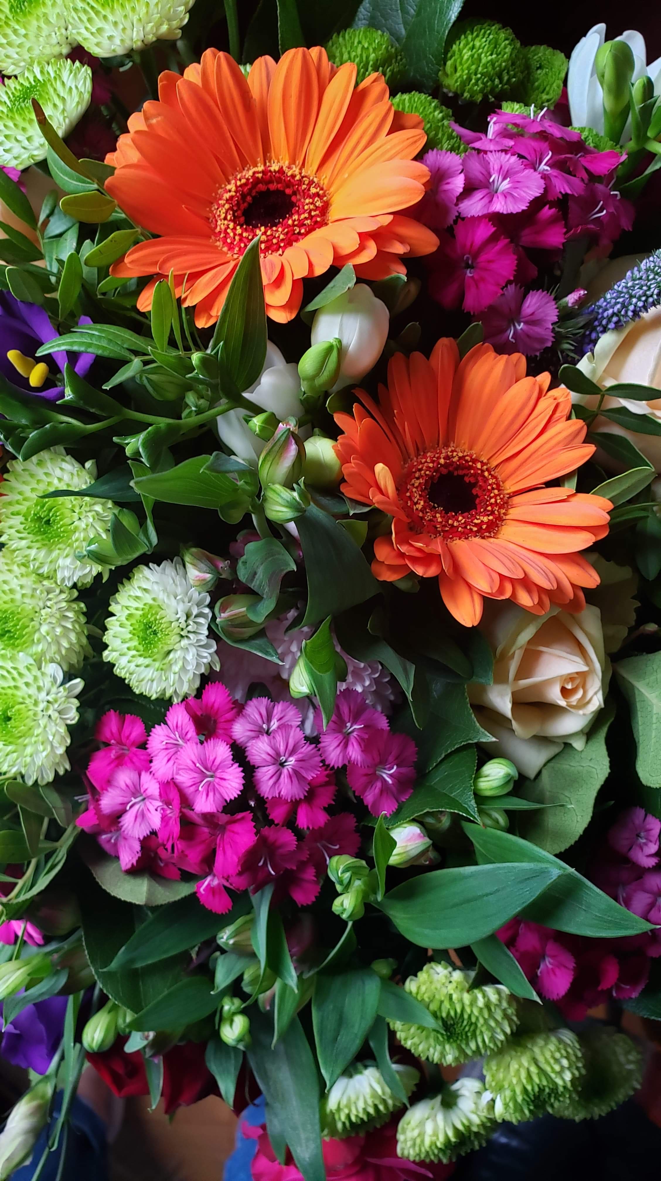 53134D49-754B-4A47-A958-DAC1F7441891