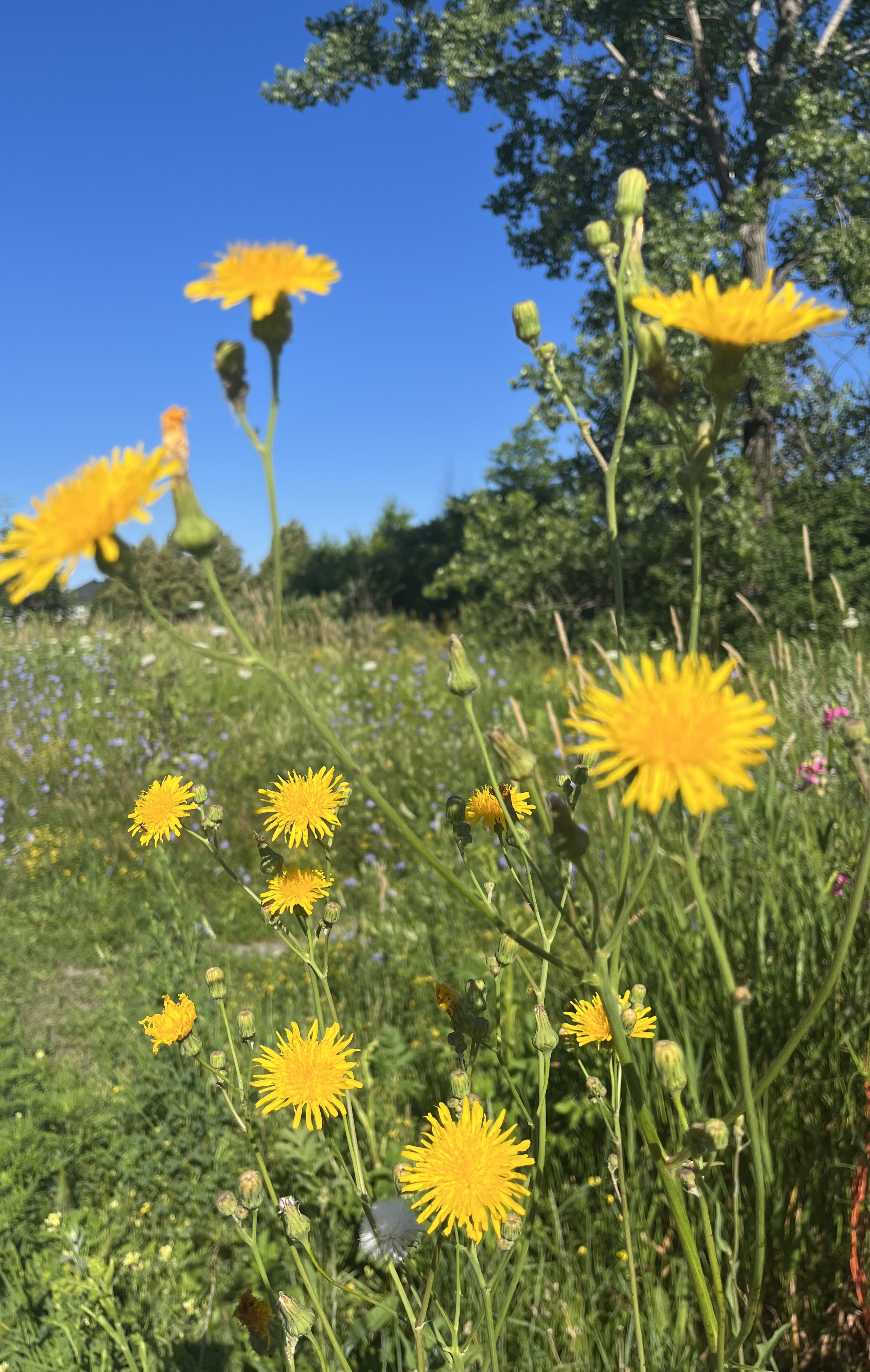 54BC80BB-590B-4272-82D6-AE3B9404C51B