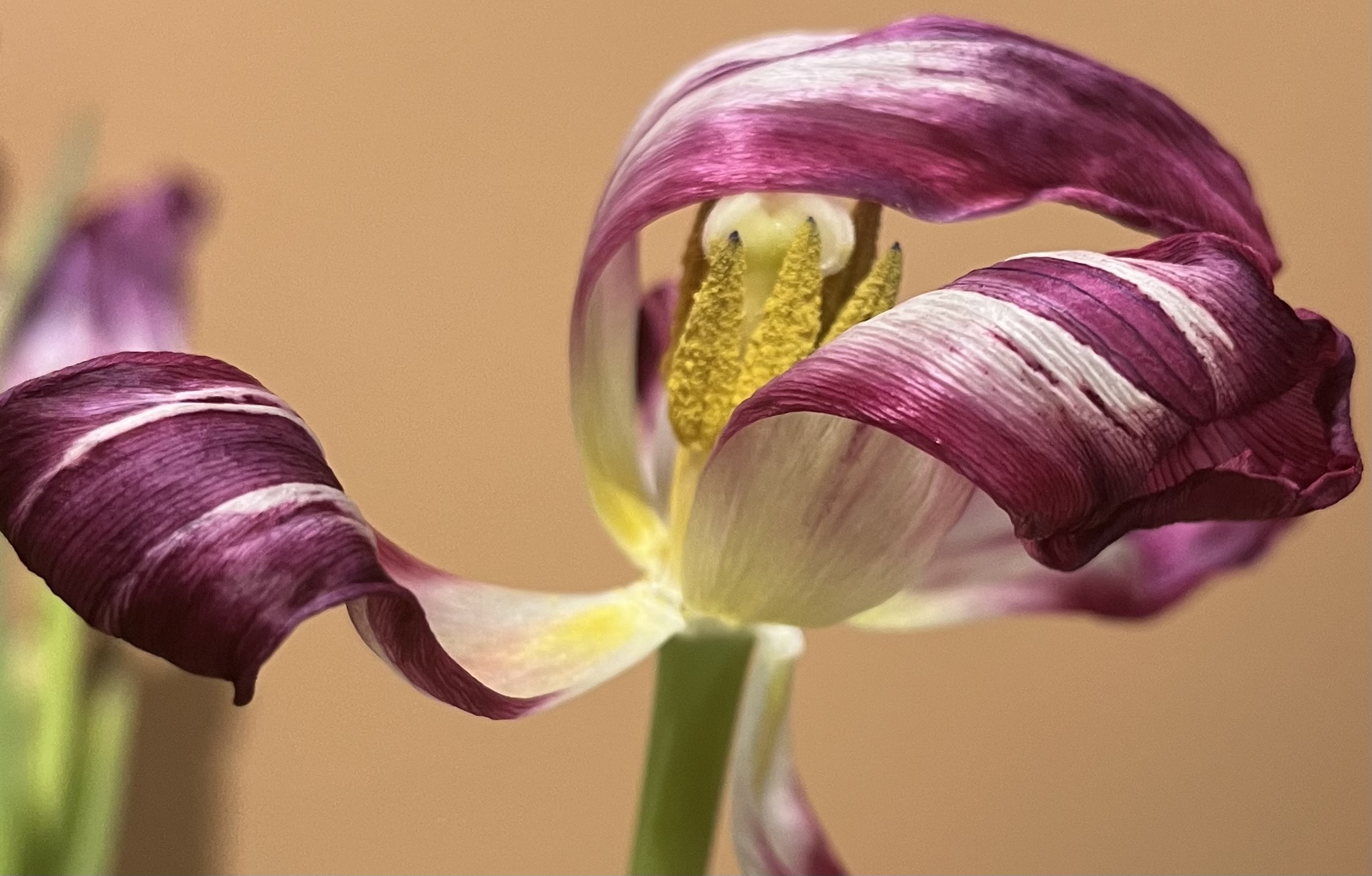 88A4A5BE-C258-40C6-9551-9F0B0787C047