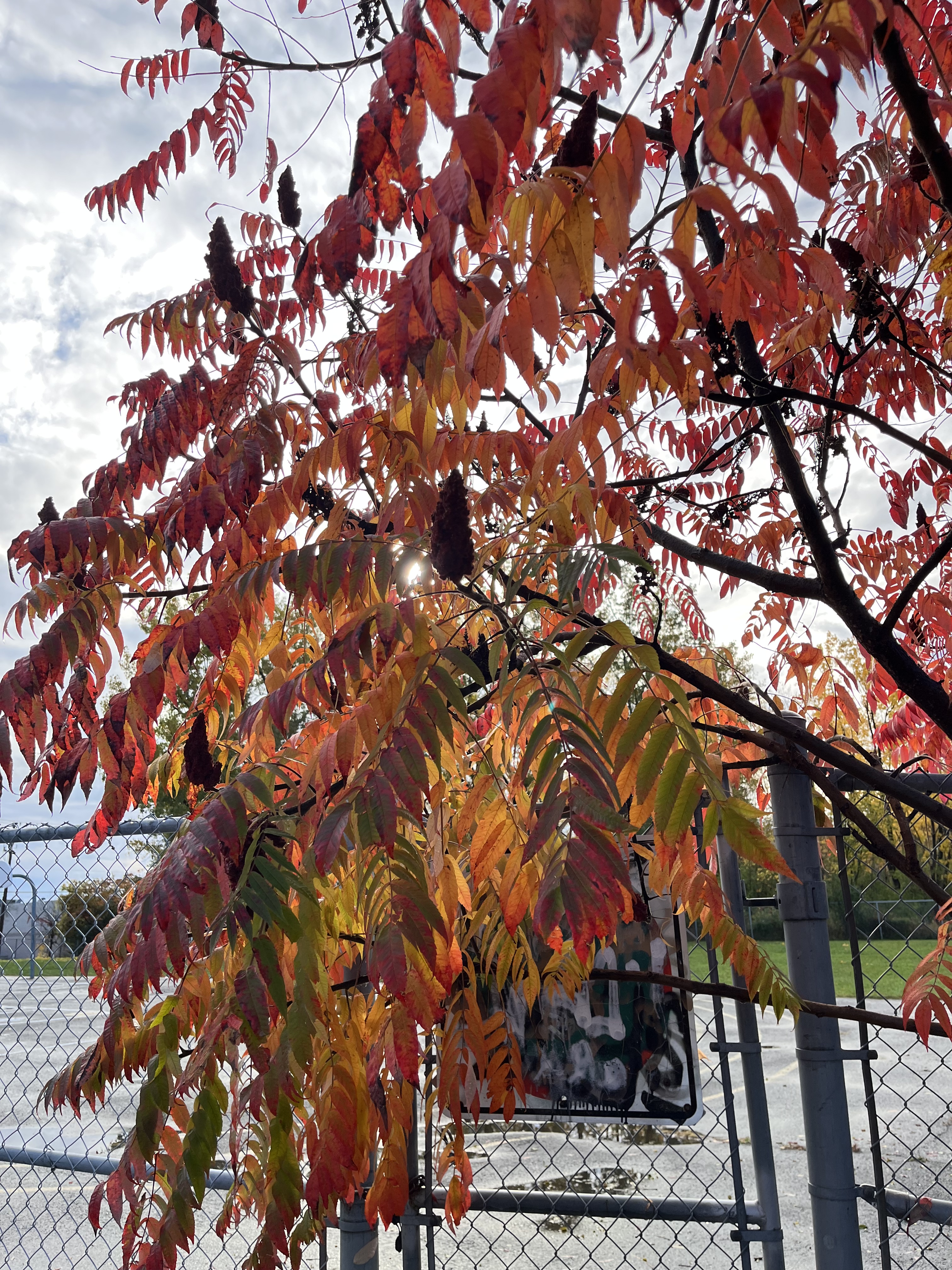 A682D470-90A1-45A2-8F8A-F3ABB09D5573